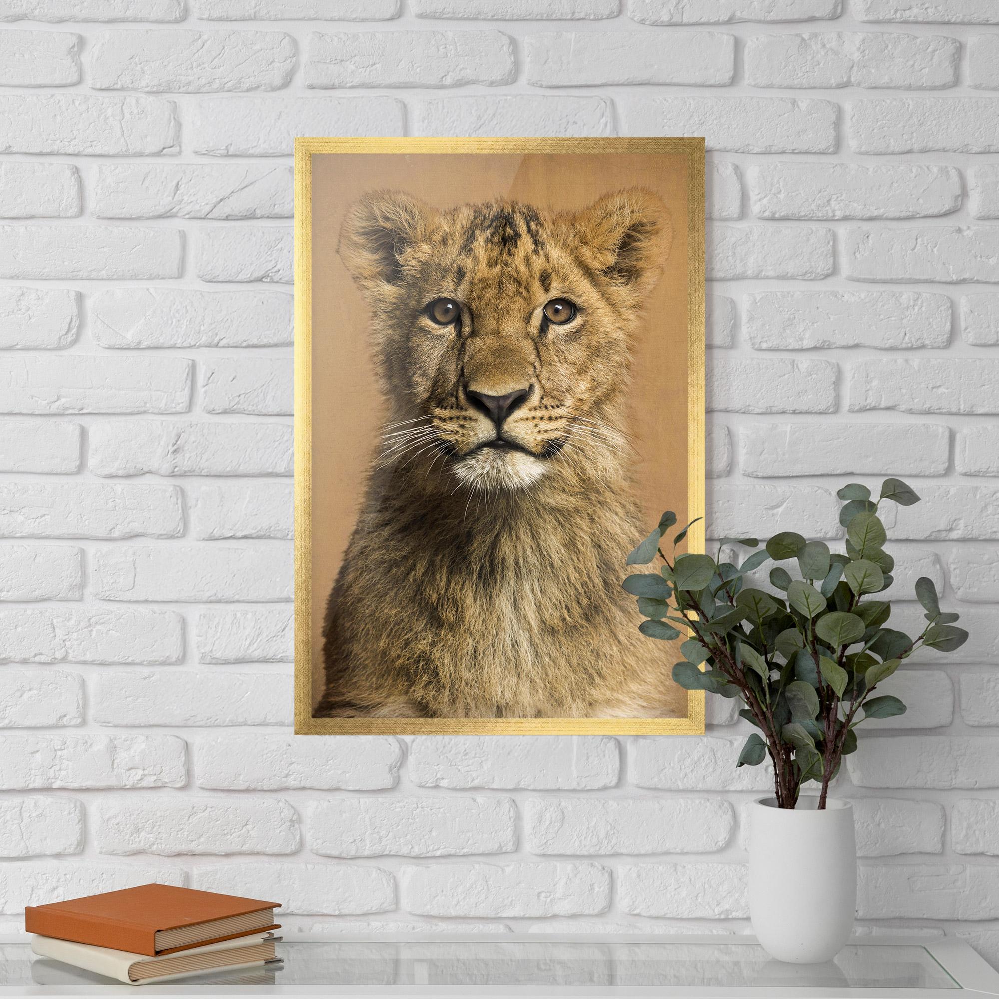 Gerahmte Poster Baby Lion mockup 5