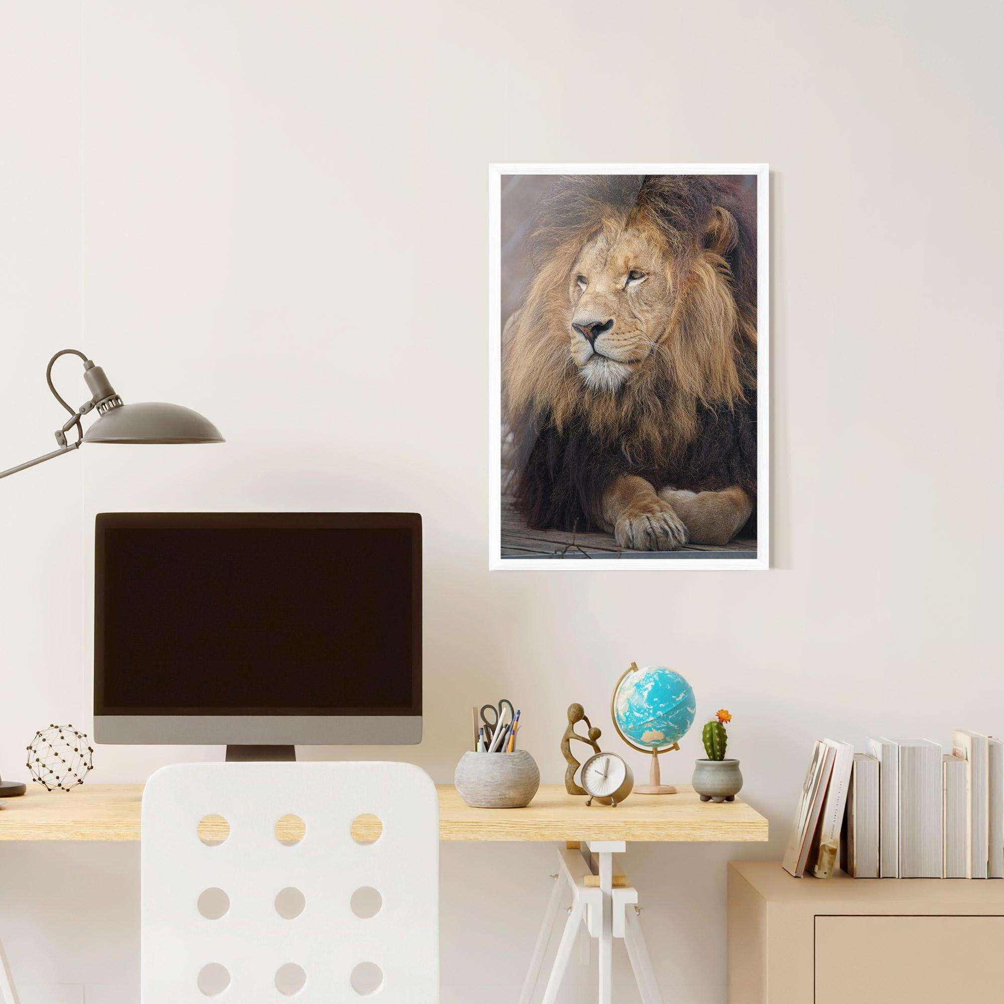 Gerahmte Poster Lion Chilling mockup 6