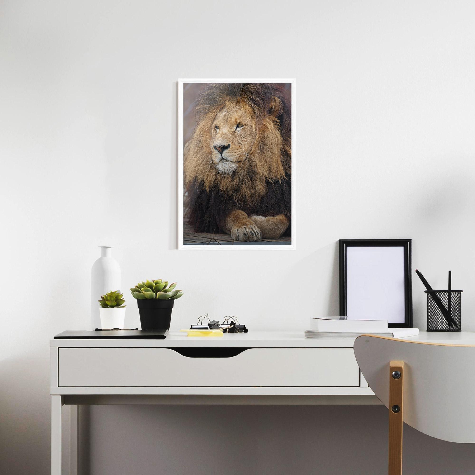 Gerahmte Poster Lion Chilling mockup 7