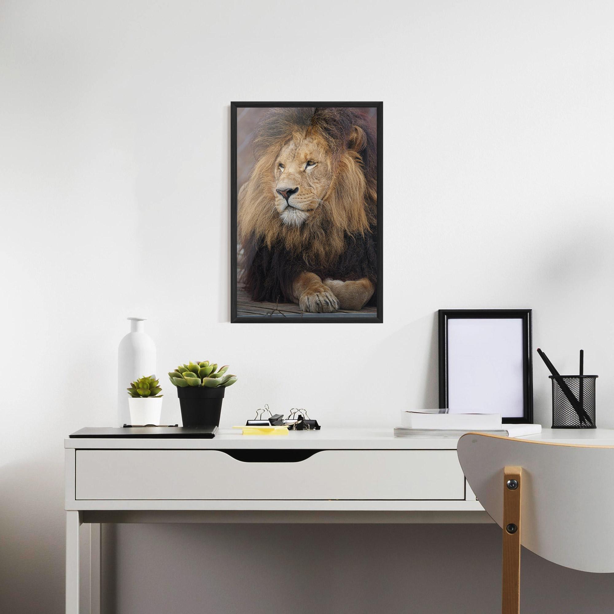 Gerahmte Poster Lion Chilling mockup 7