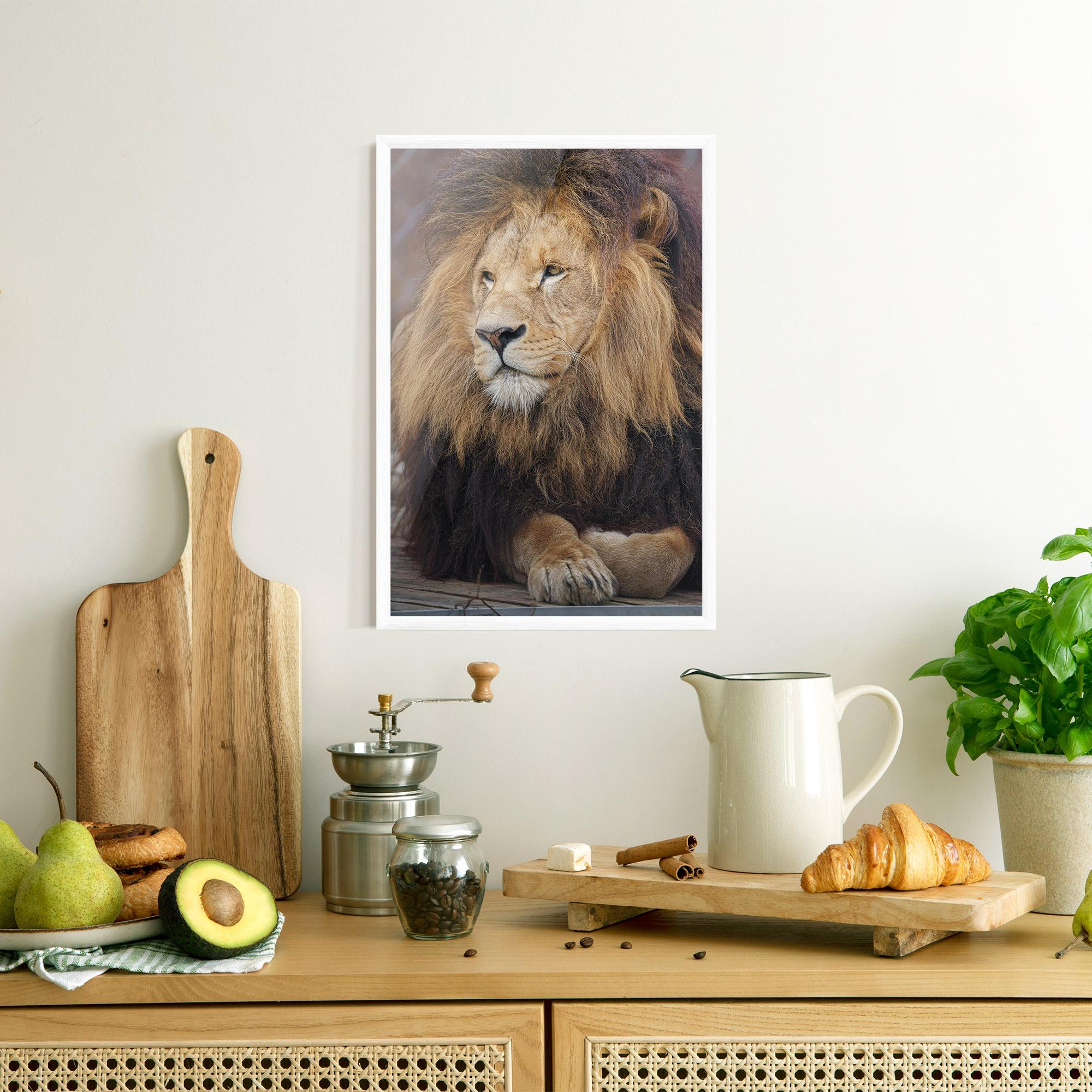 Gerahmte Poster Lion Chilling mockup 8