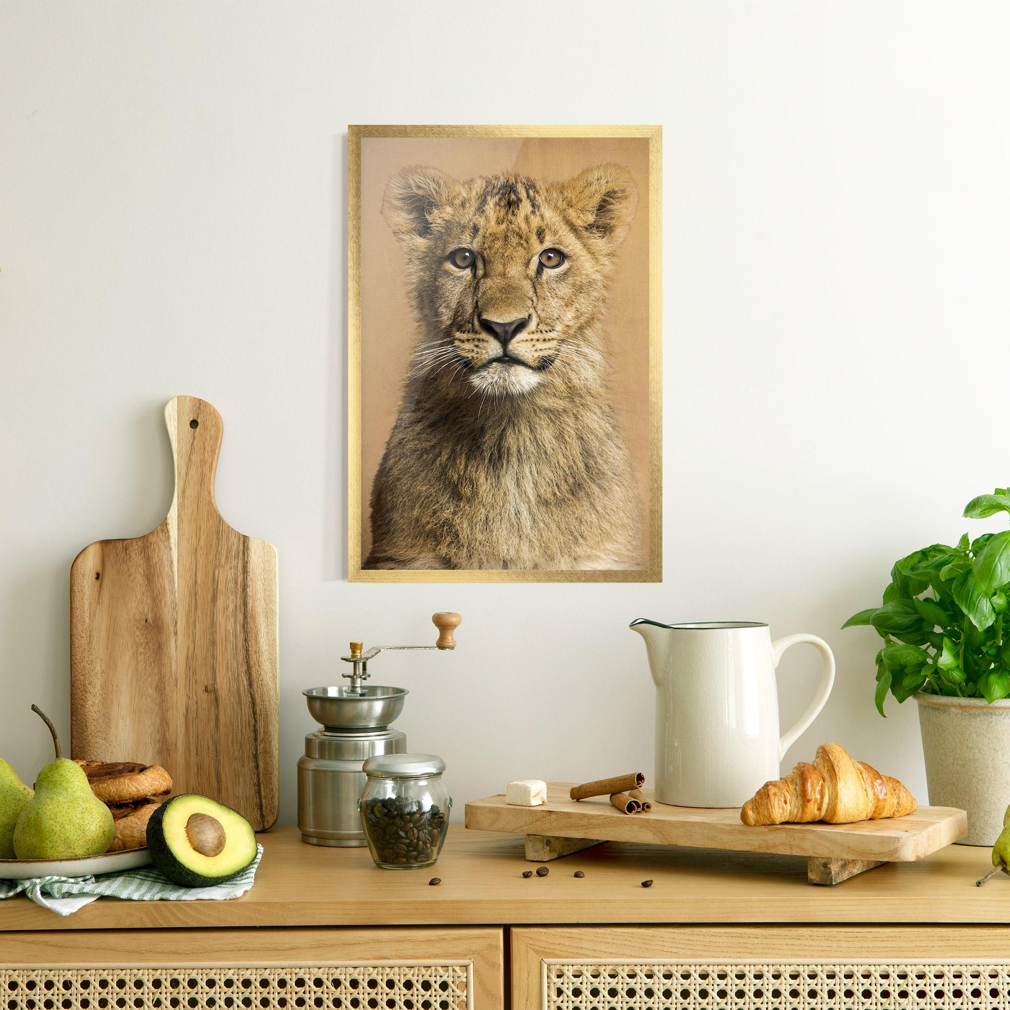 Gerahmte Poster Baby Lion mockup 8