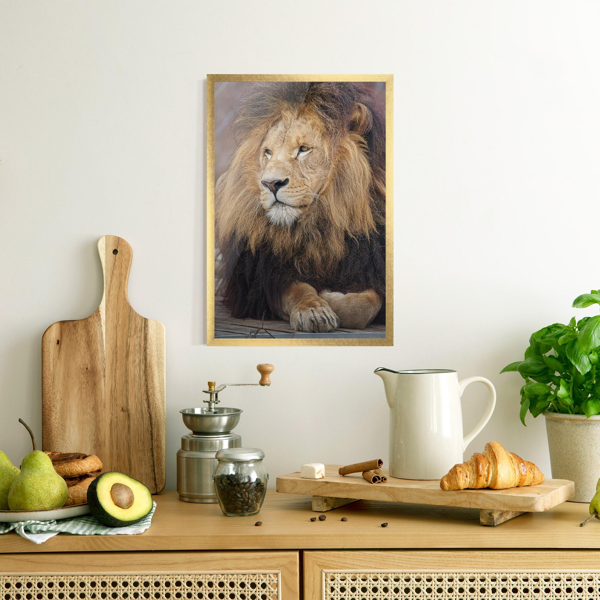 Gerahmte Poster Lion Chilling mockup 8