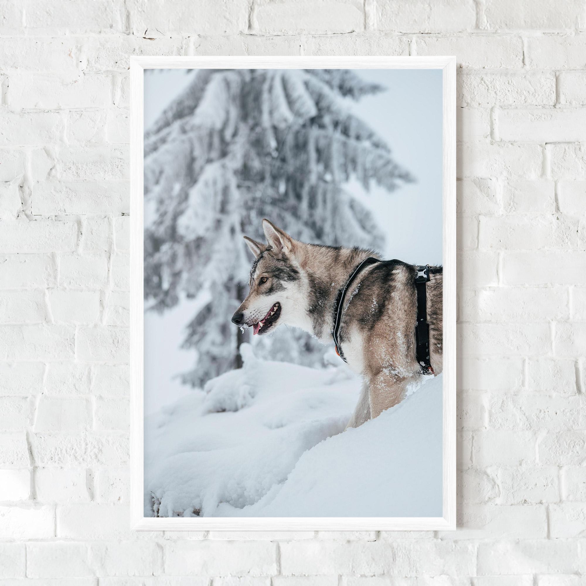 Gerahmte Poster Snow Wolf mockup 0