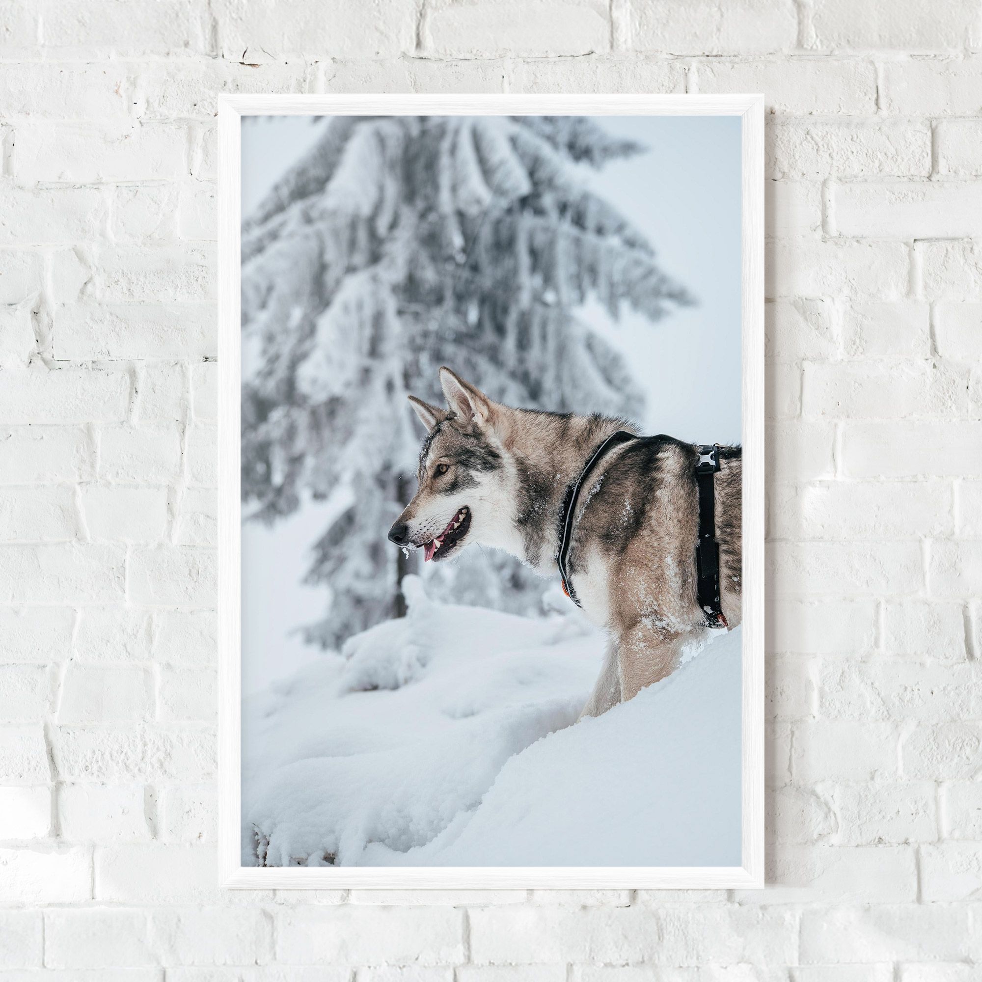 Snow Wolf mockup 0