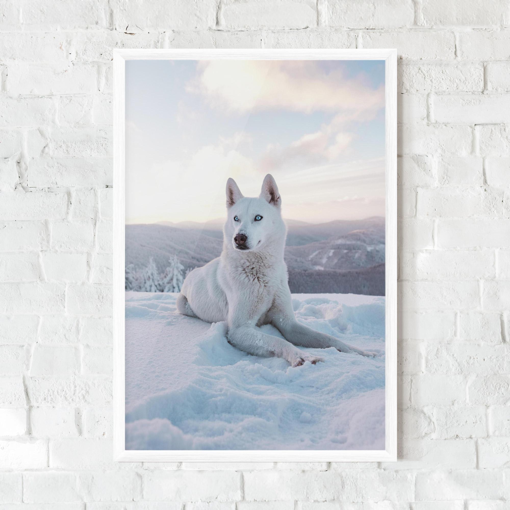 Gerahmte Poster White Snow Wolf mockup 0