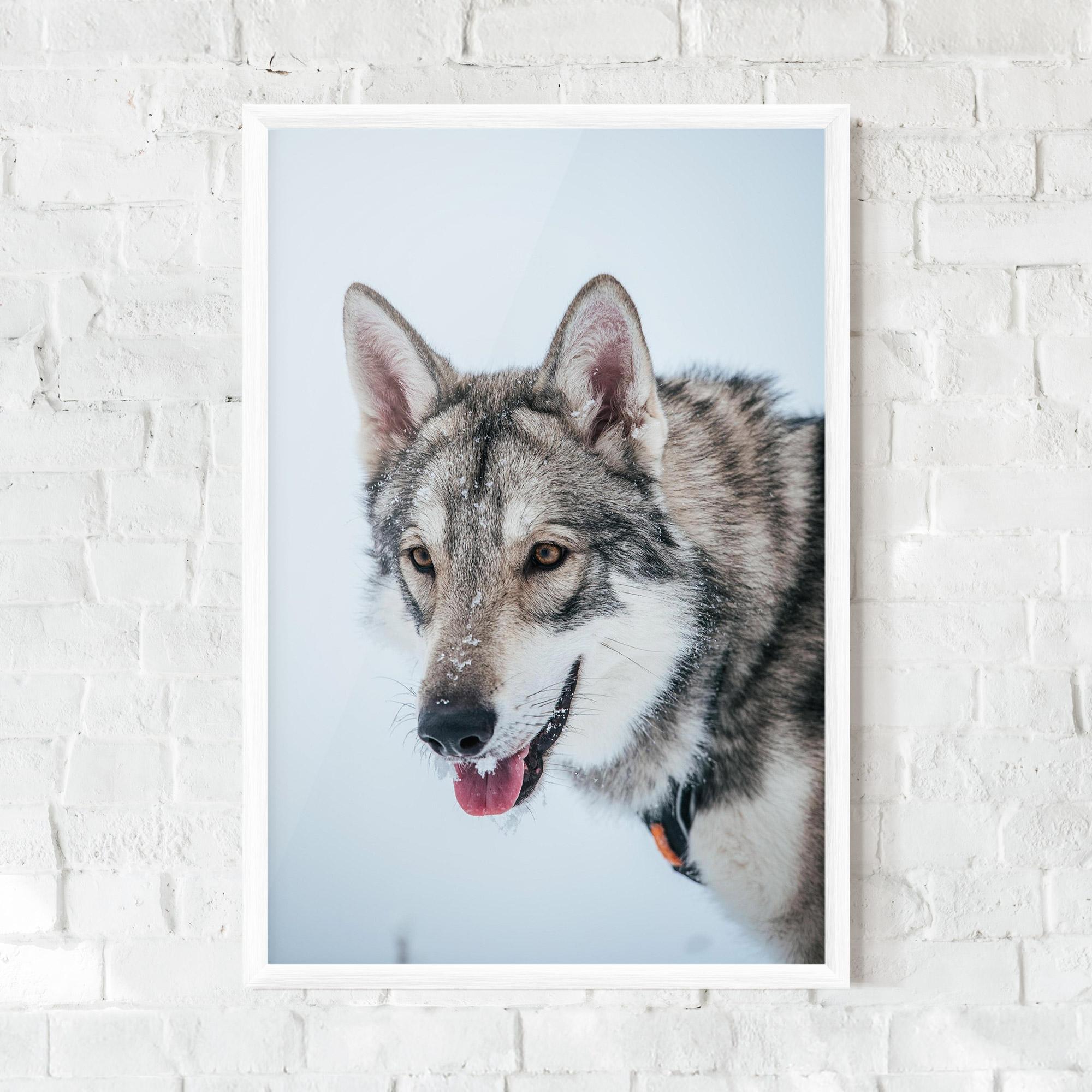 Gerahmte Poster Wolf Head mockup 0