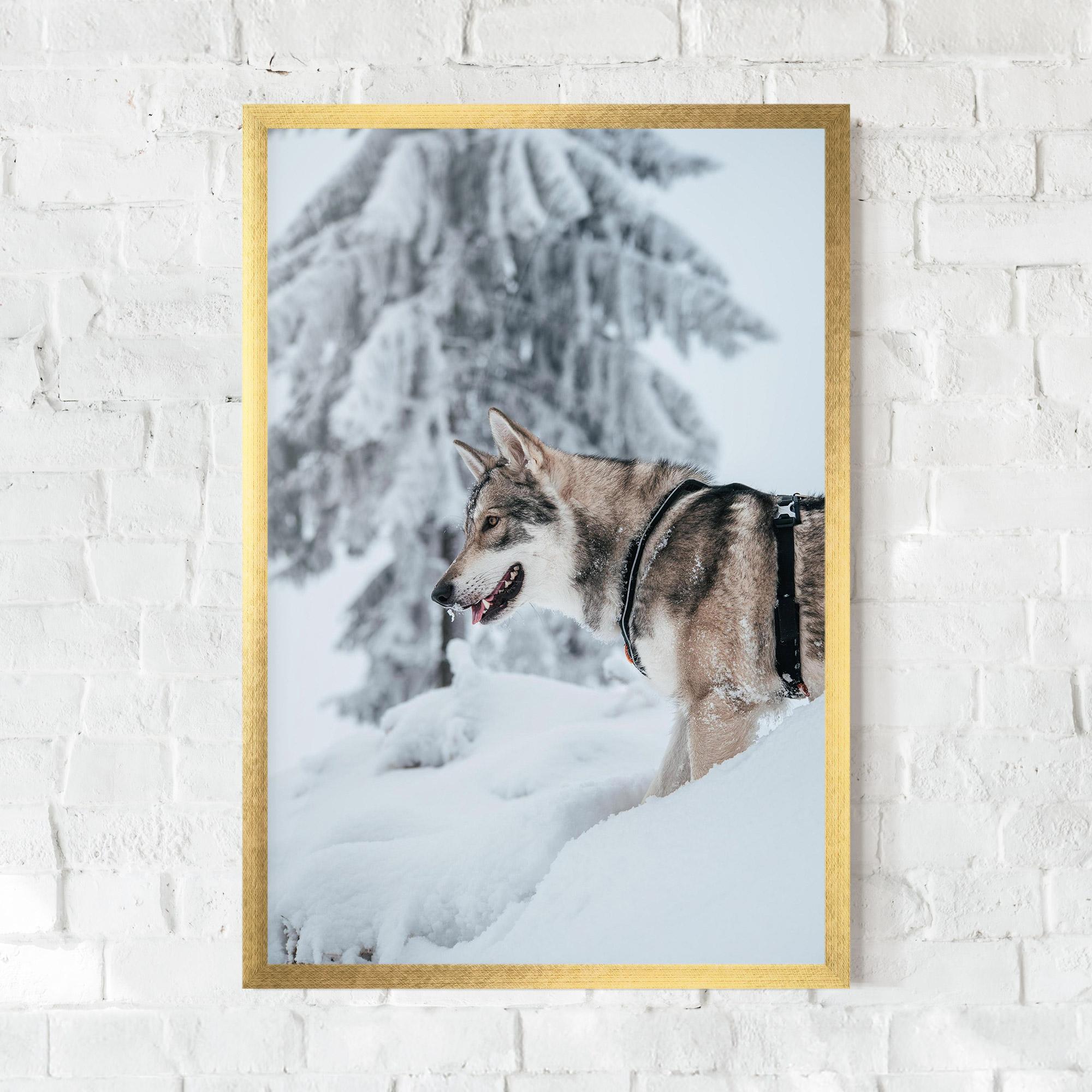 Gerahmte Poster Snow Wolf mockup 0