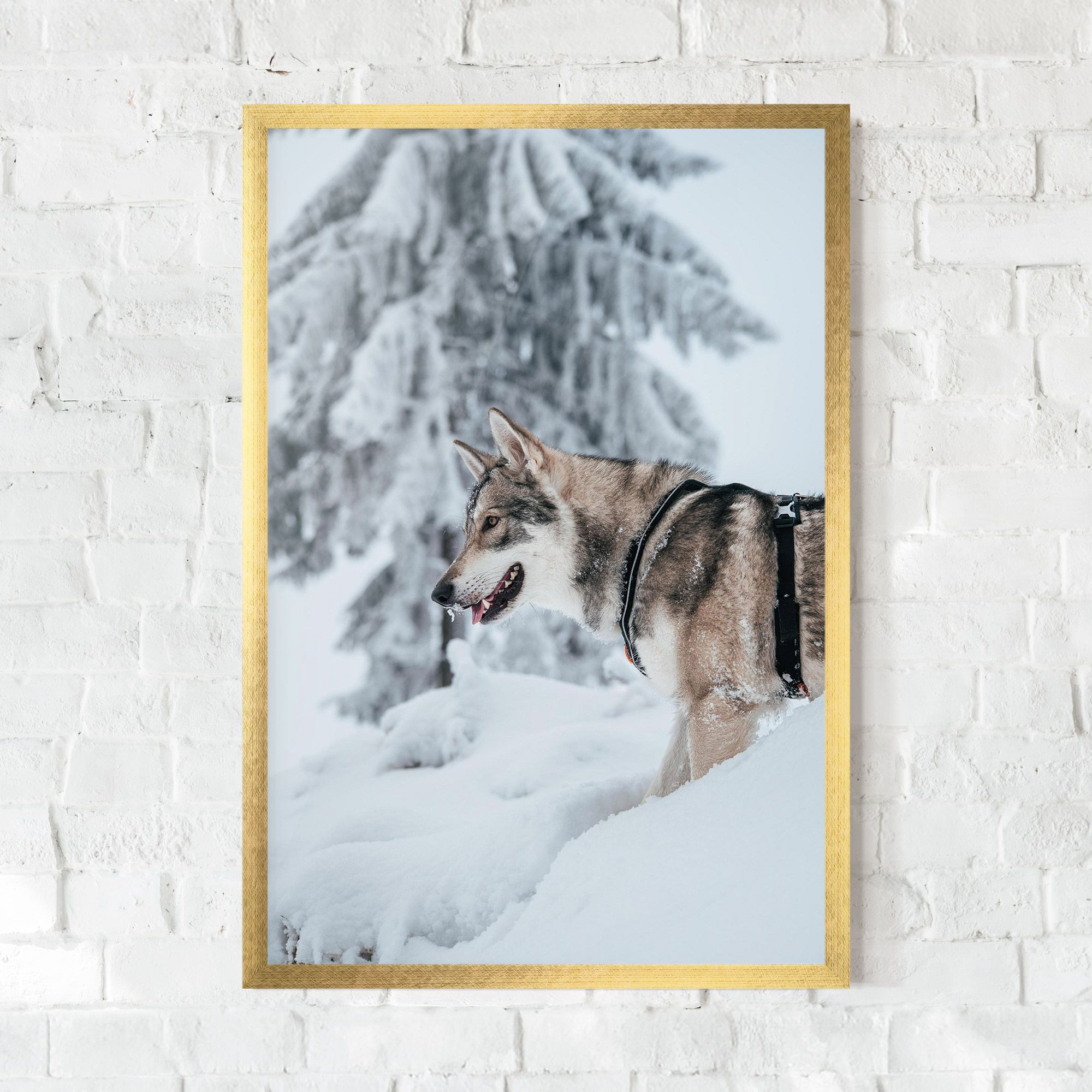 Snow Wolf mockup 0