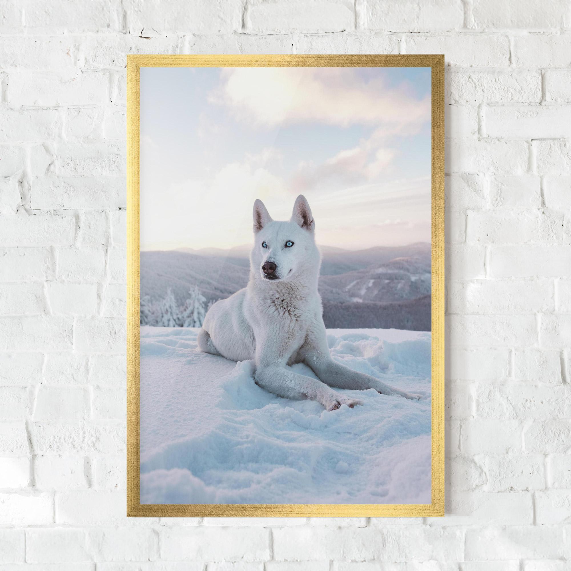 Gerahmte Poster White Snow Wolf mockup 0