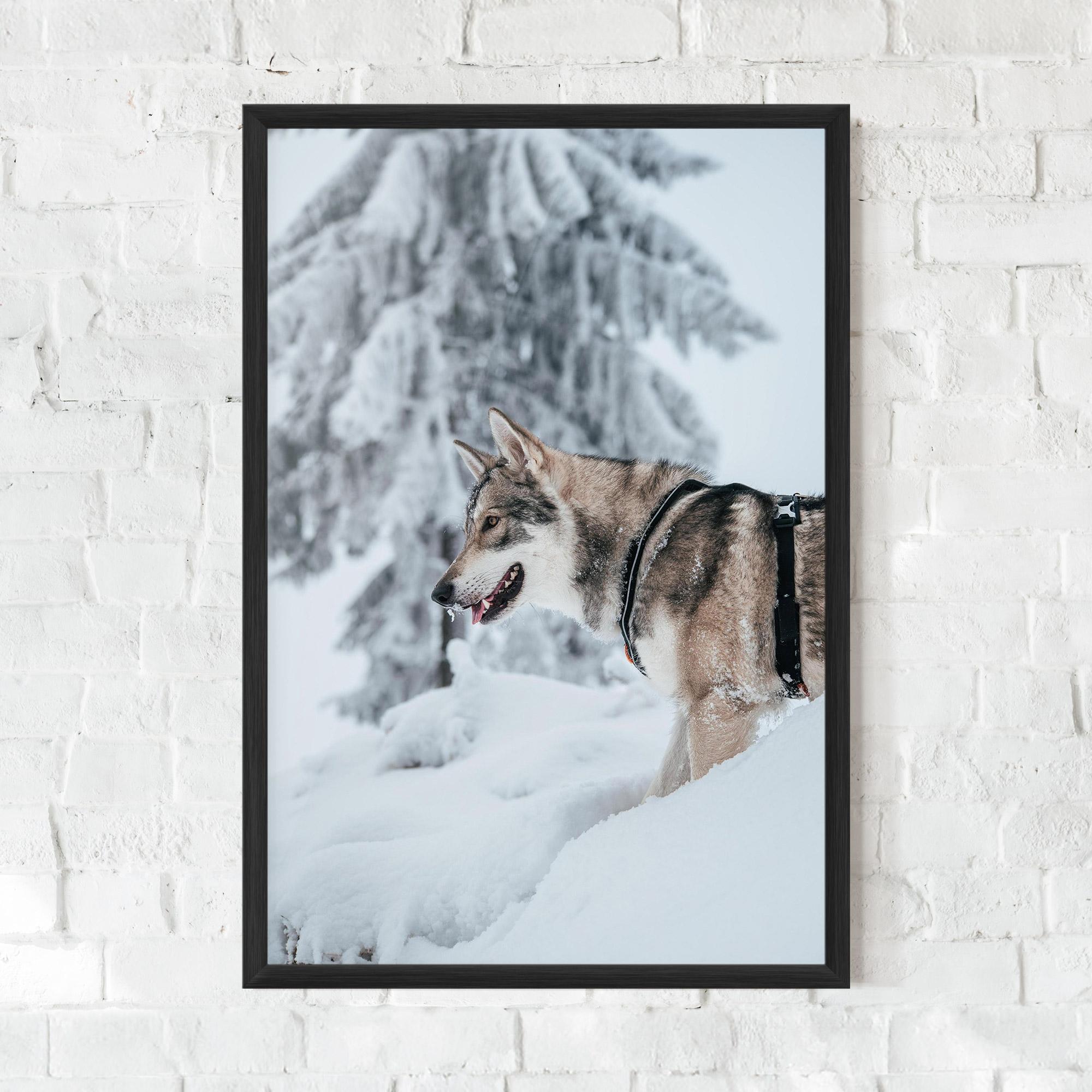 Gerahmte Poster Snow Wolf mockup 0