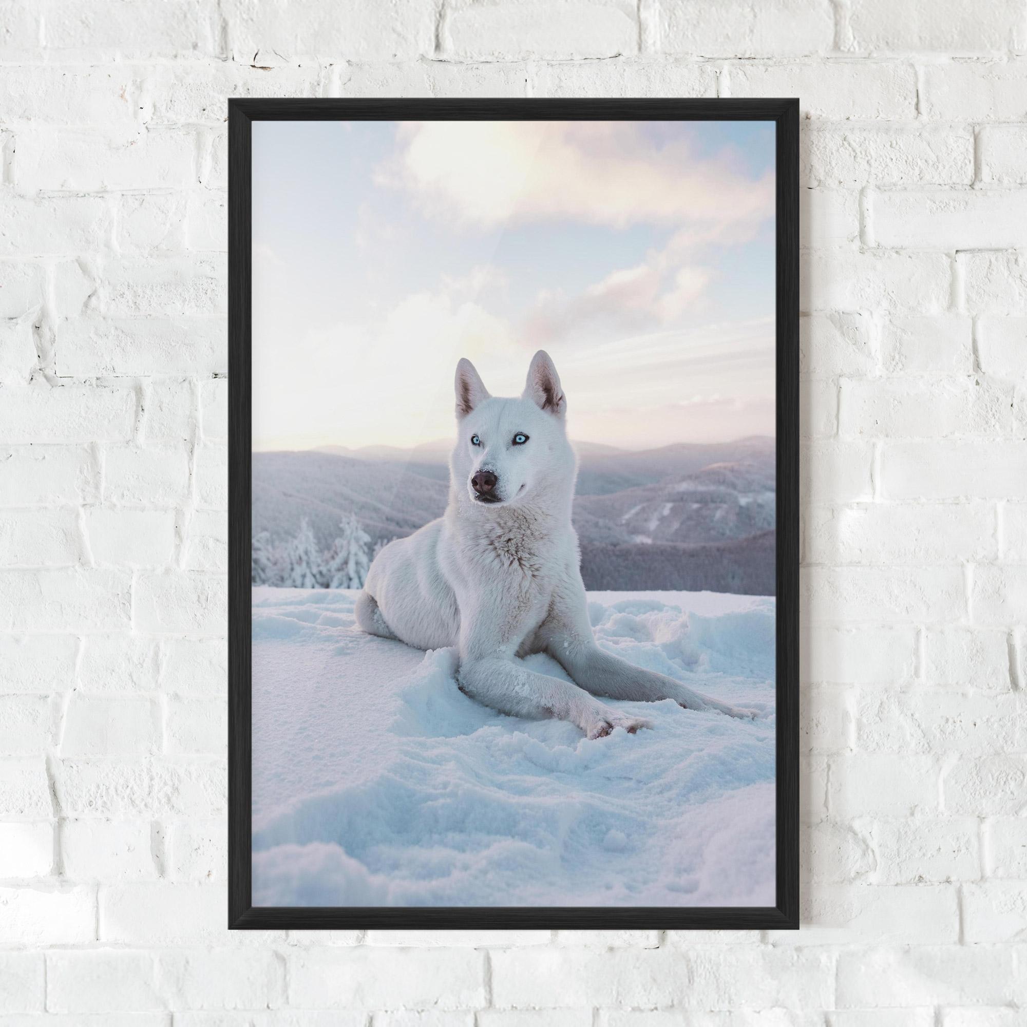 Gerahmte Poster White Snow Wolf mockup 0