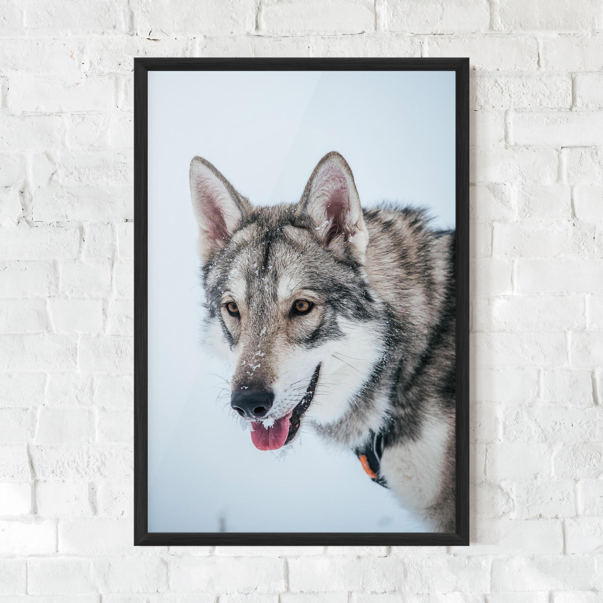 Gerahmte Poster Wolf Head mockup 0