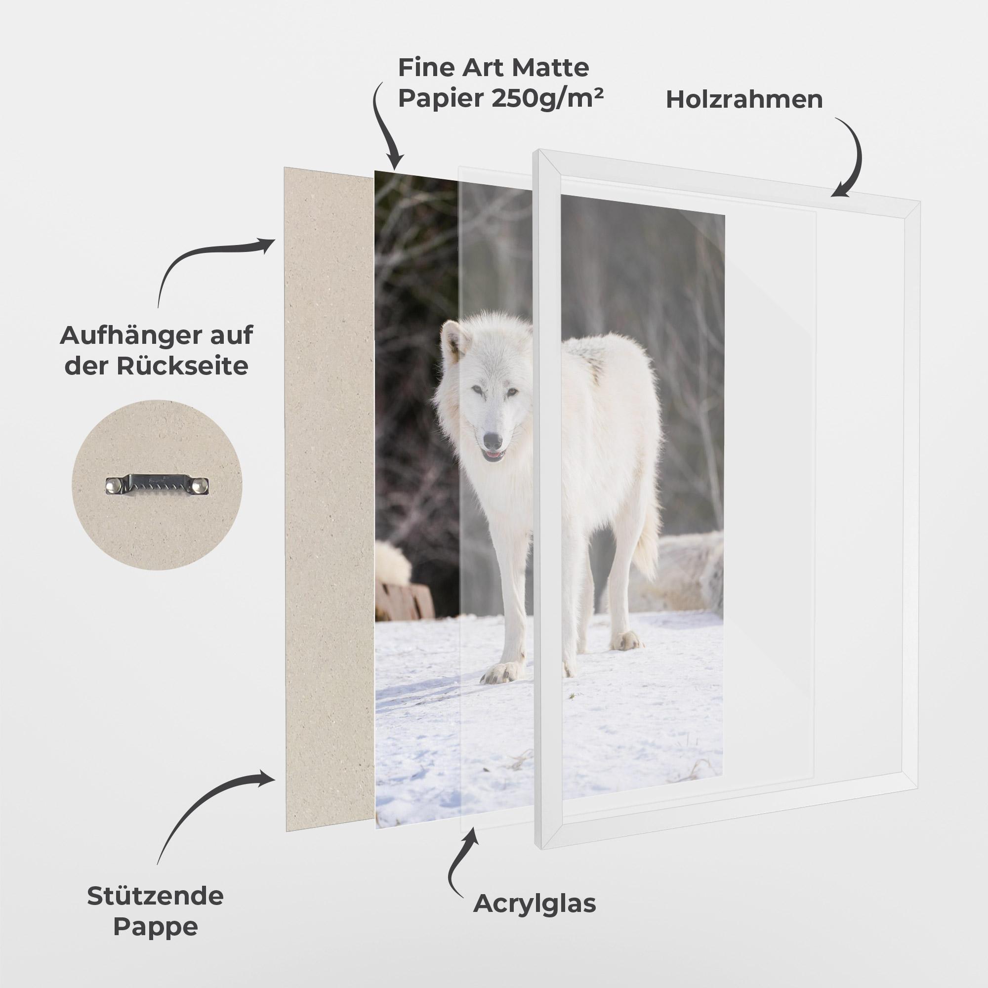 Gerahmte Poster Beautiful White Wolf mockup 1