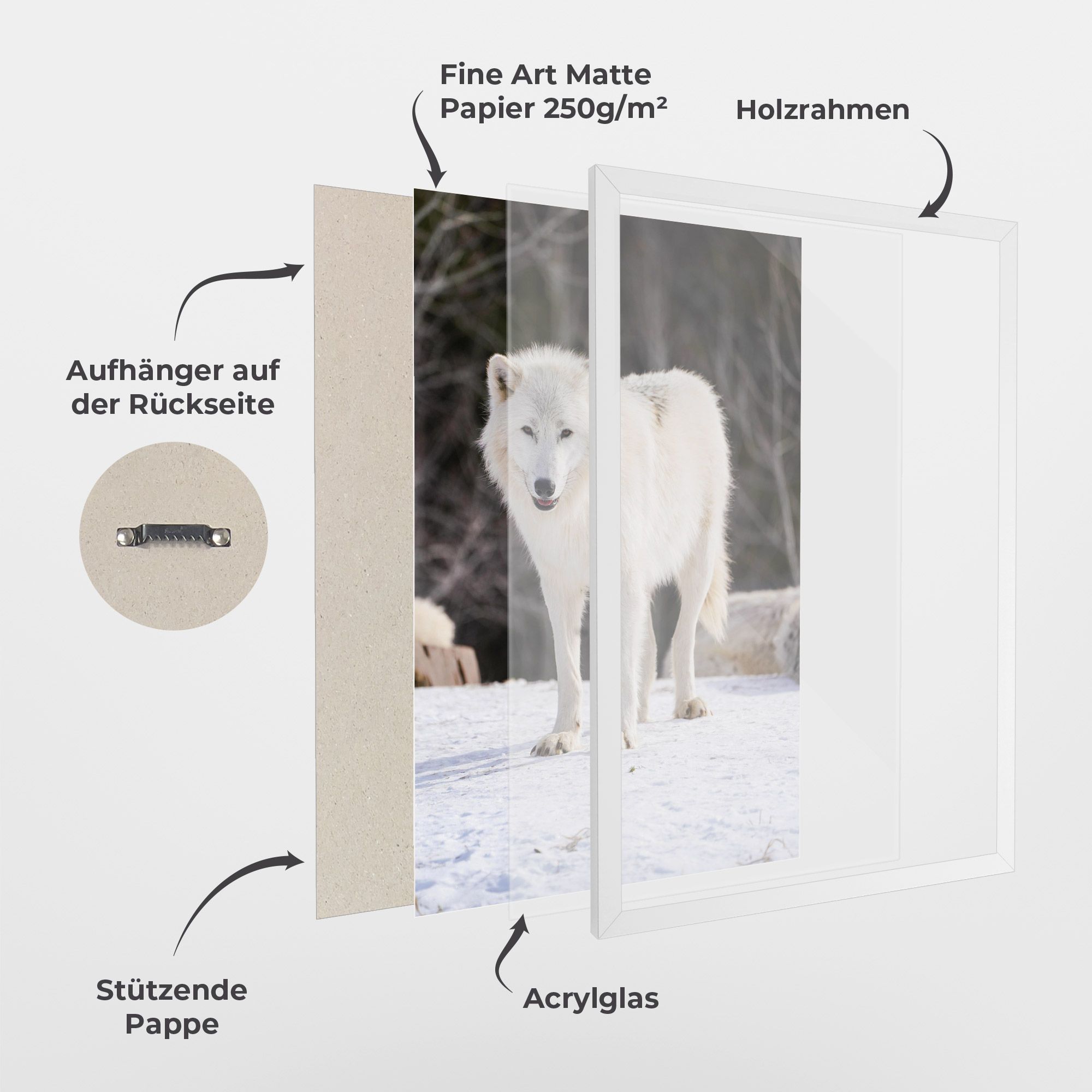 Beautiful White Wolf mockup 1