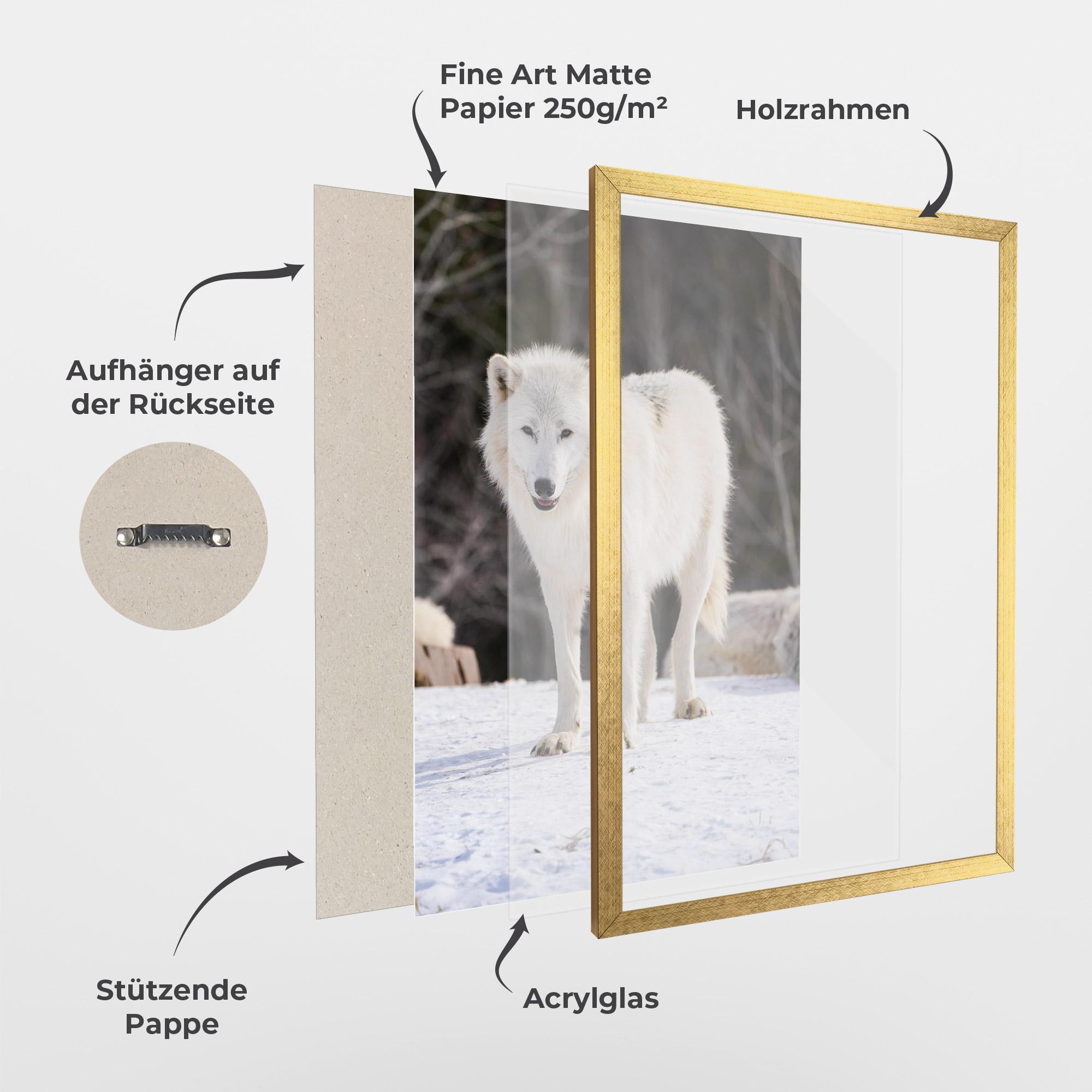 Gerahmte Poster Beautiful White Wolf mockup 1