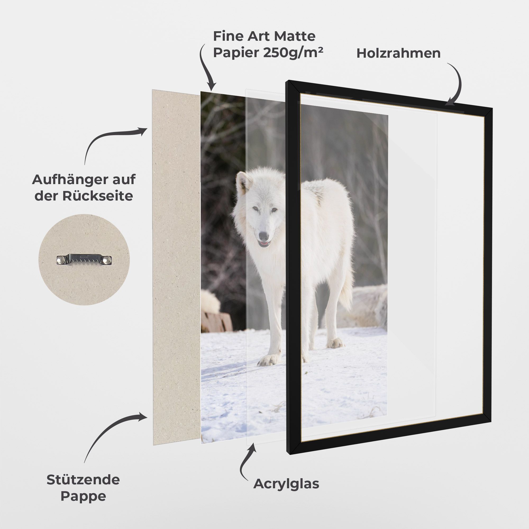 Beautiful White Wolf mockup 1