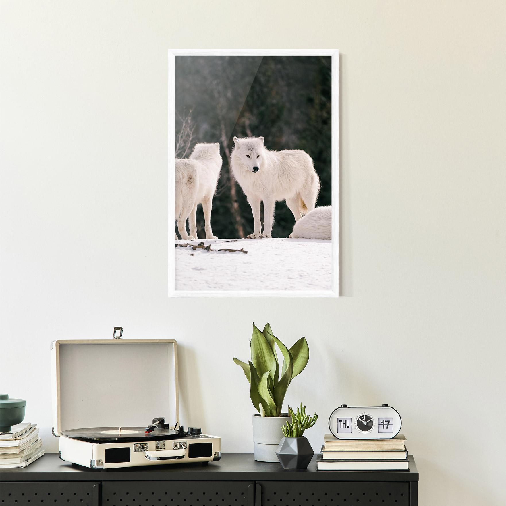Gerahmte Poster White Wolf Waiting mockup 2