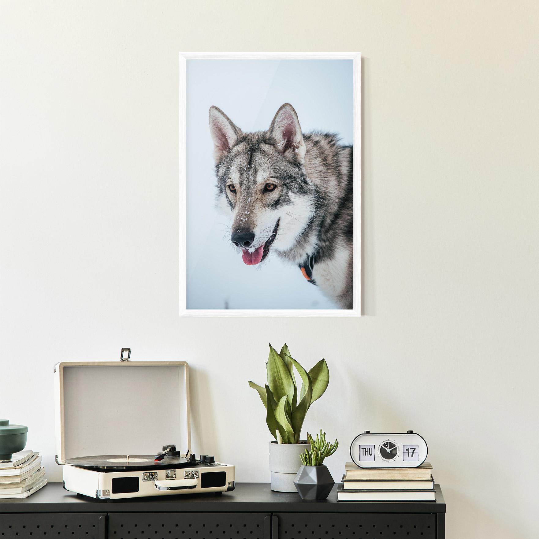 Gerahmte Poster Wolf Head mockup 2