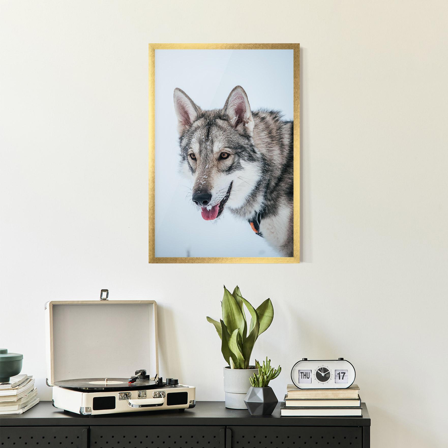 Gerahmte Poster Wolf Head mockup 2