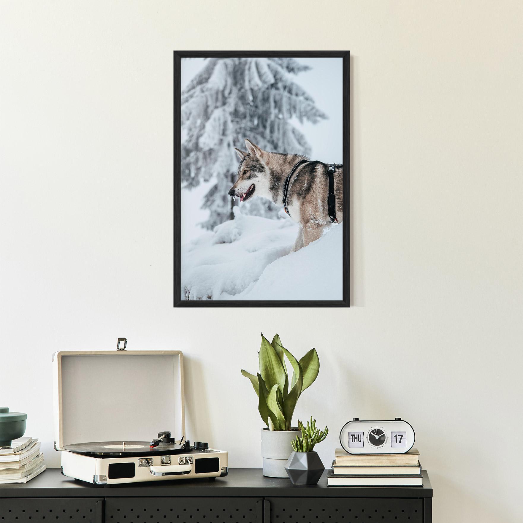 Gerahmte Poster Snow Wolf mockup 2