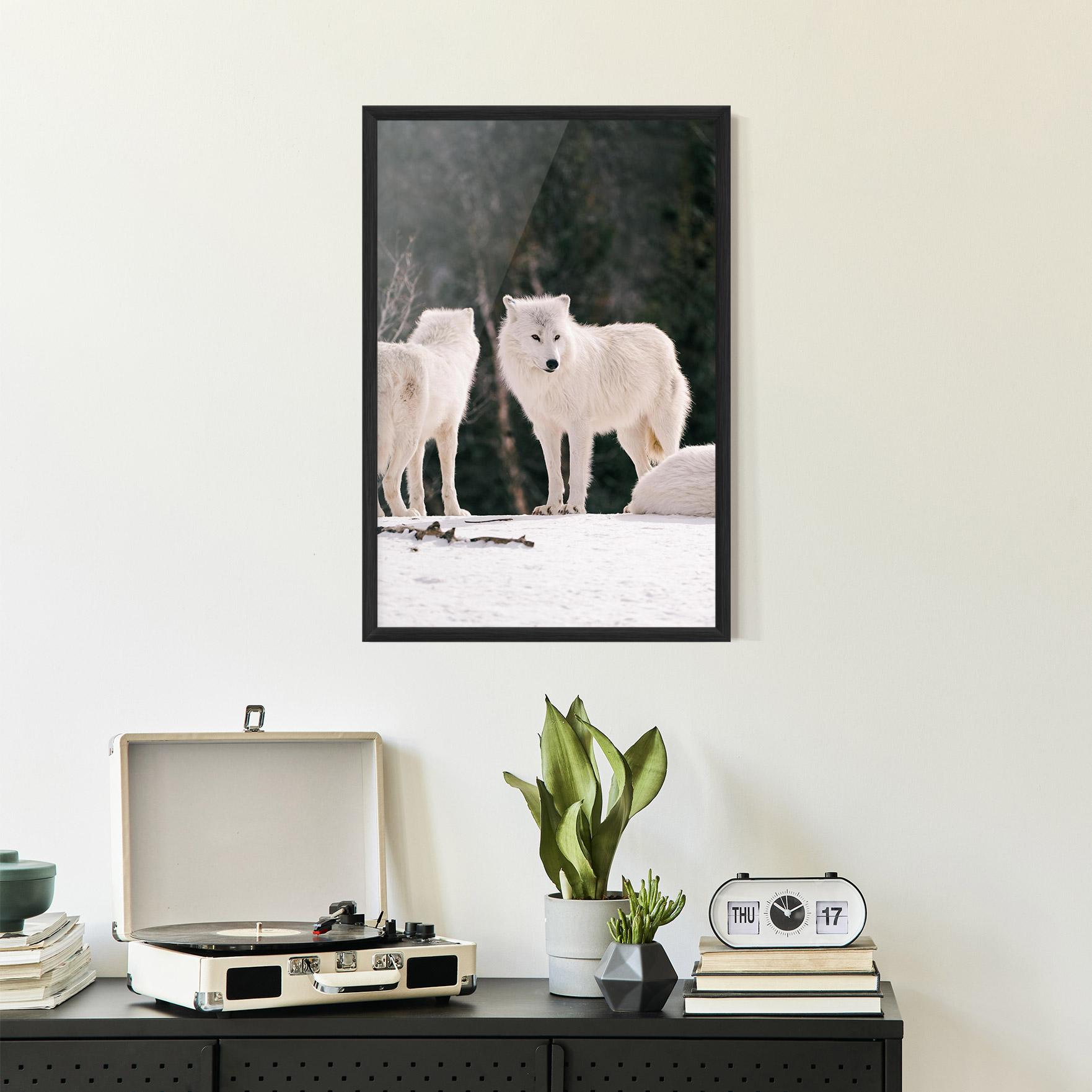 Gerahmte Poster White Wolf Waiting mockup 2