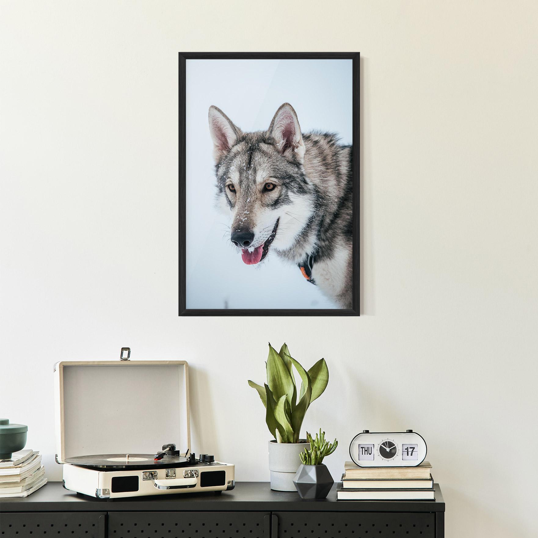 Gerahmte Poster Wolf Head mockup 2