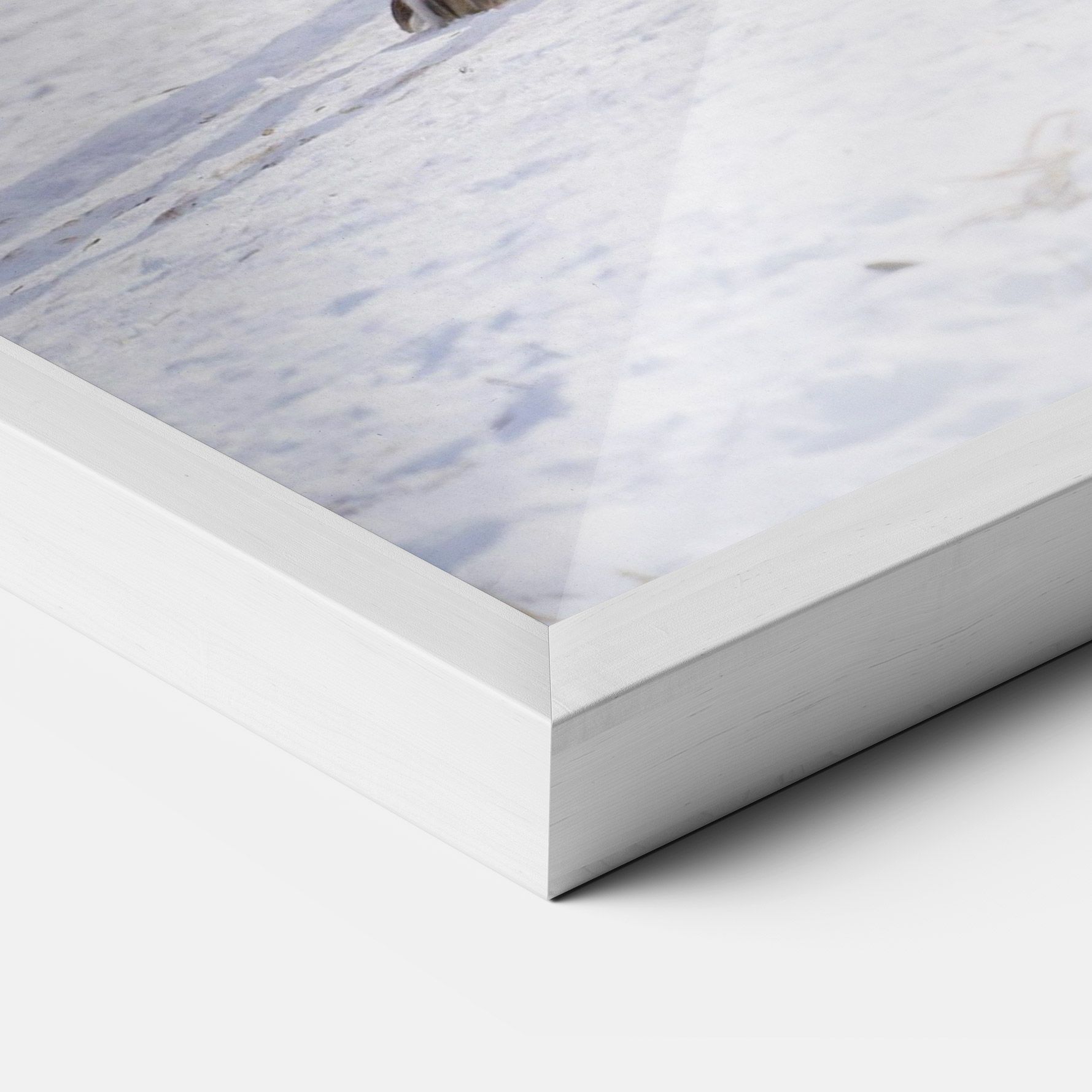 Beautiful White Wolf mockup 3
