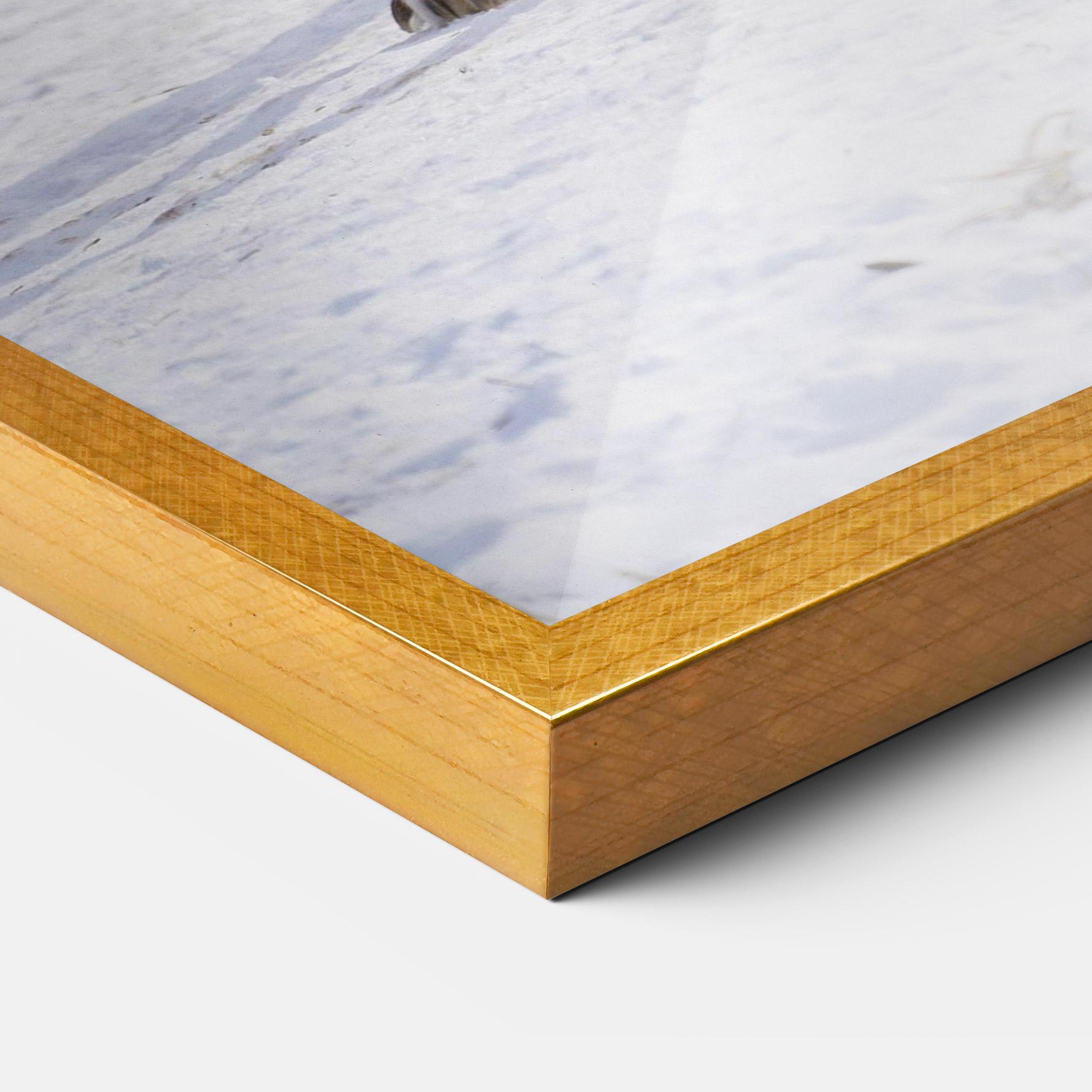 Gerahmte Poster Beautiful White Wolf mockup 3