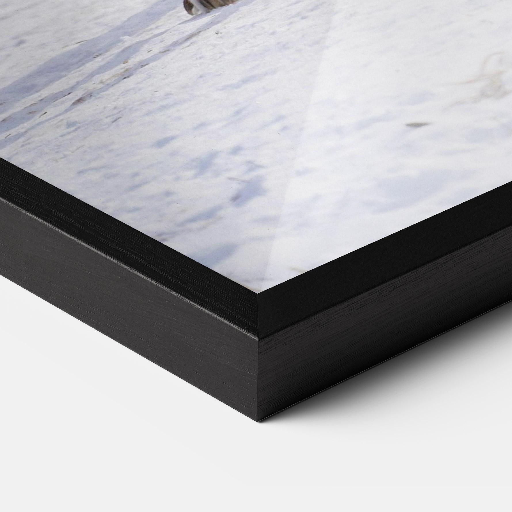 Gerahmte Poster Beautiful White Wolf mockup 3