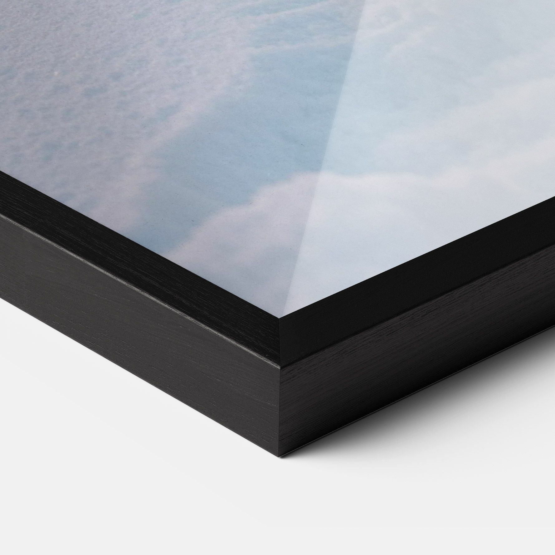 White Snow Wolf mockup 3