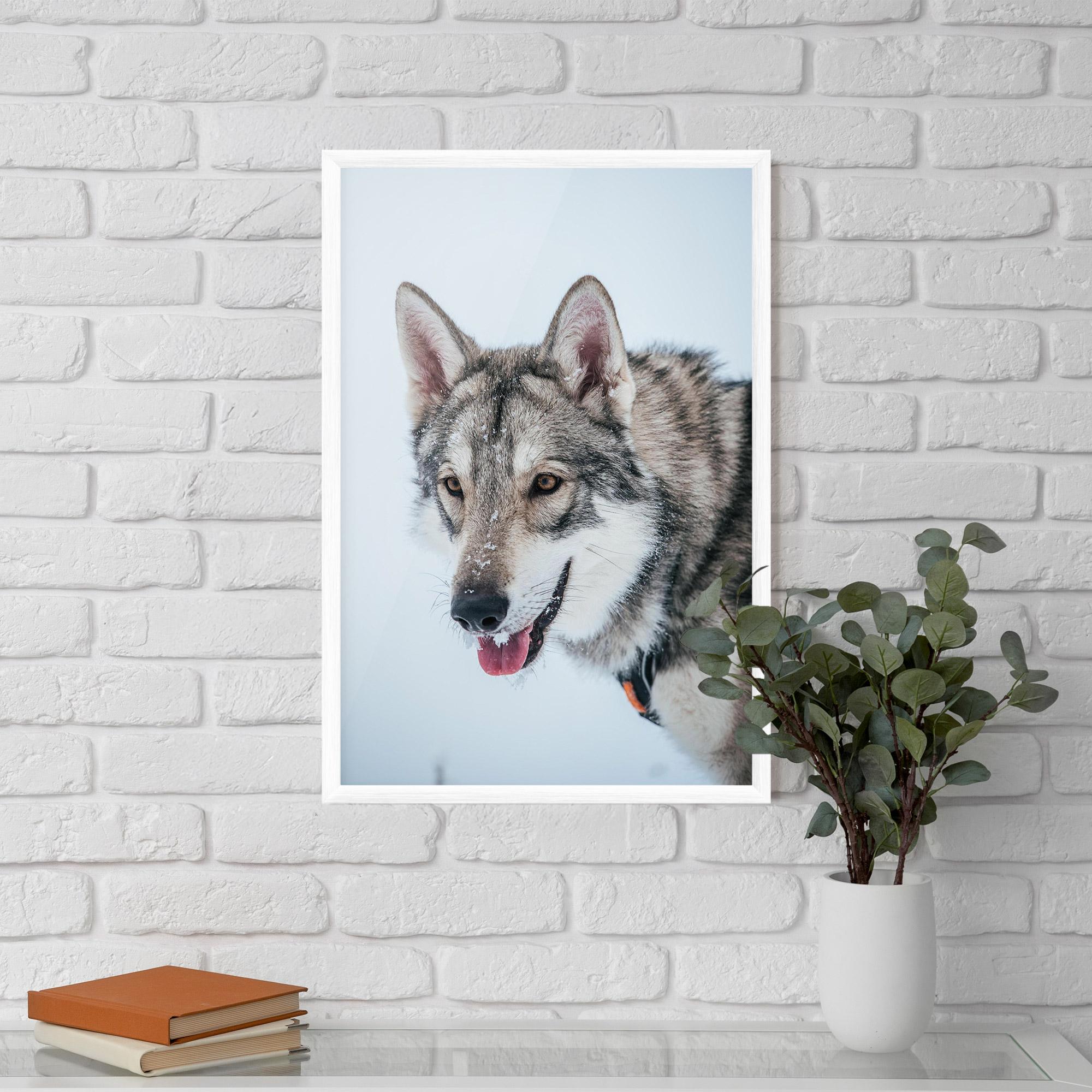 Gerahmte Poster Wolf Head mockup 5