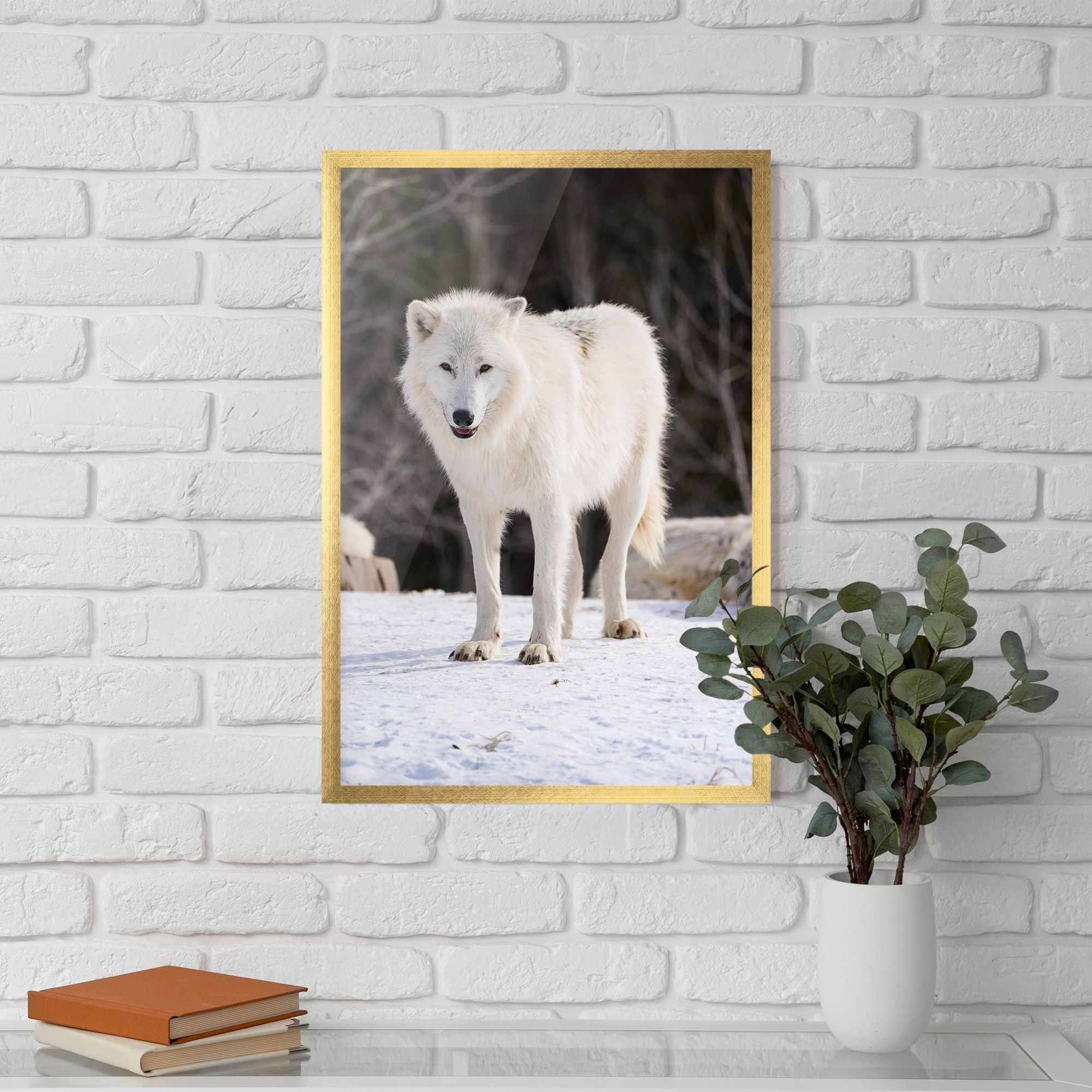 Beautiful White Wolf mockup 5