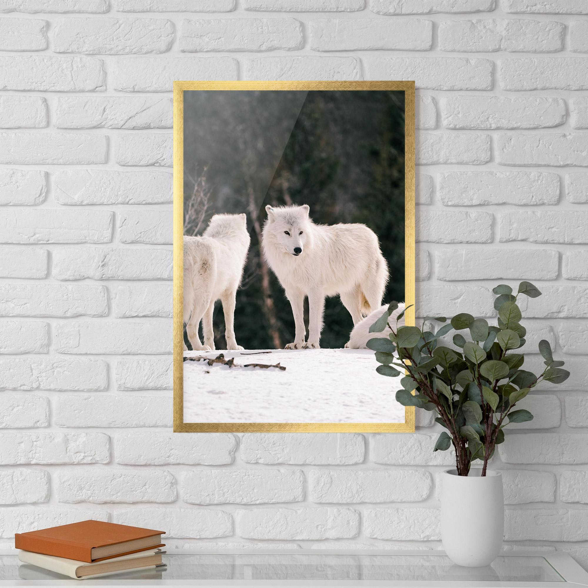 Gerahmte Poster White Wolf Waiting mockup 5