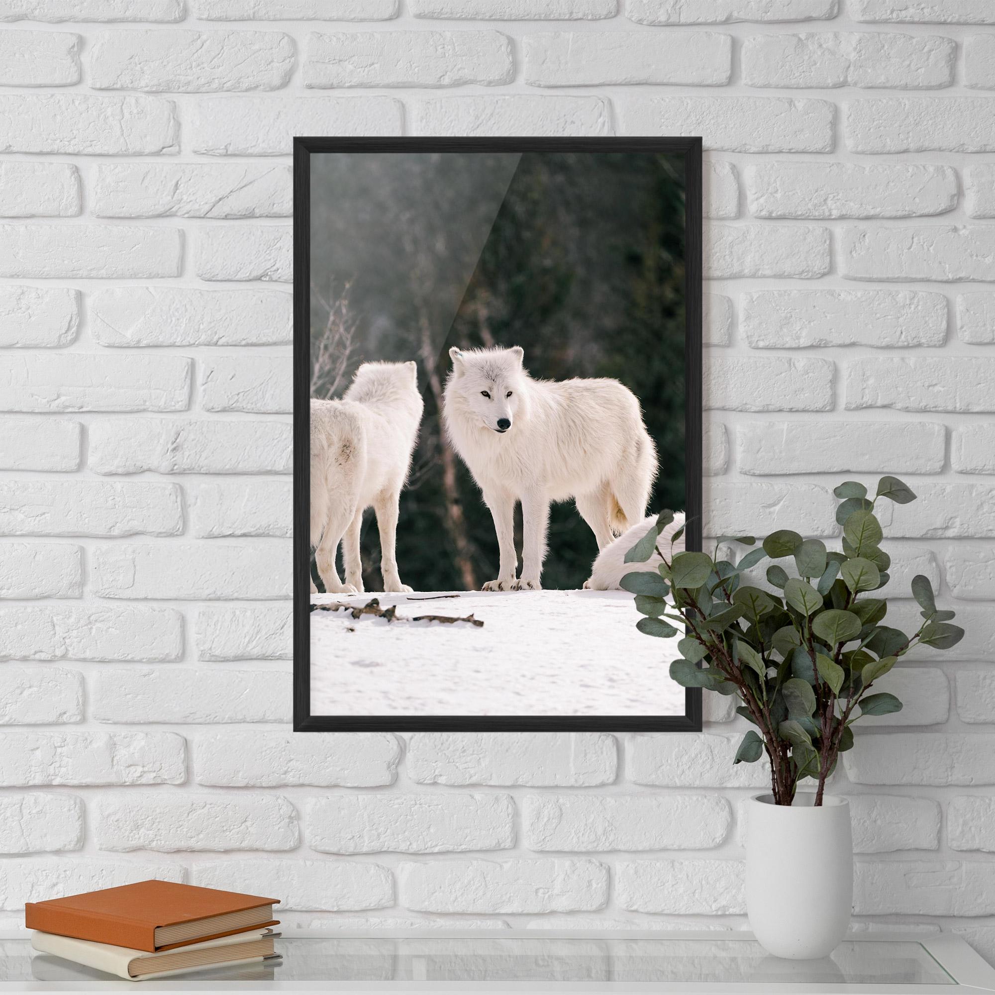 Gerahmte Poster White Wolf Waiting mockup 5