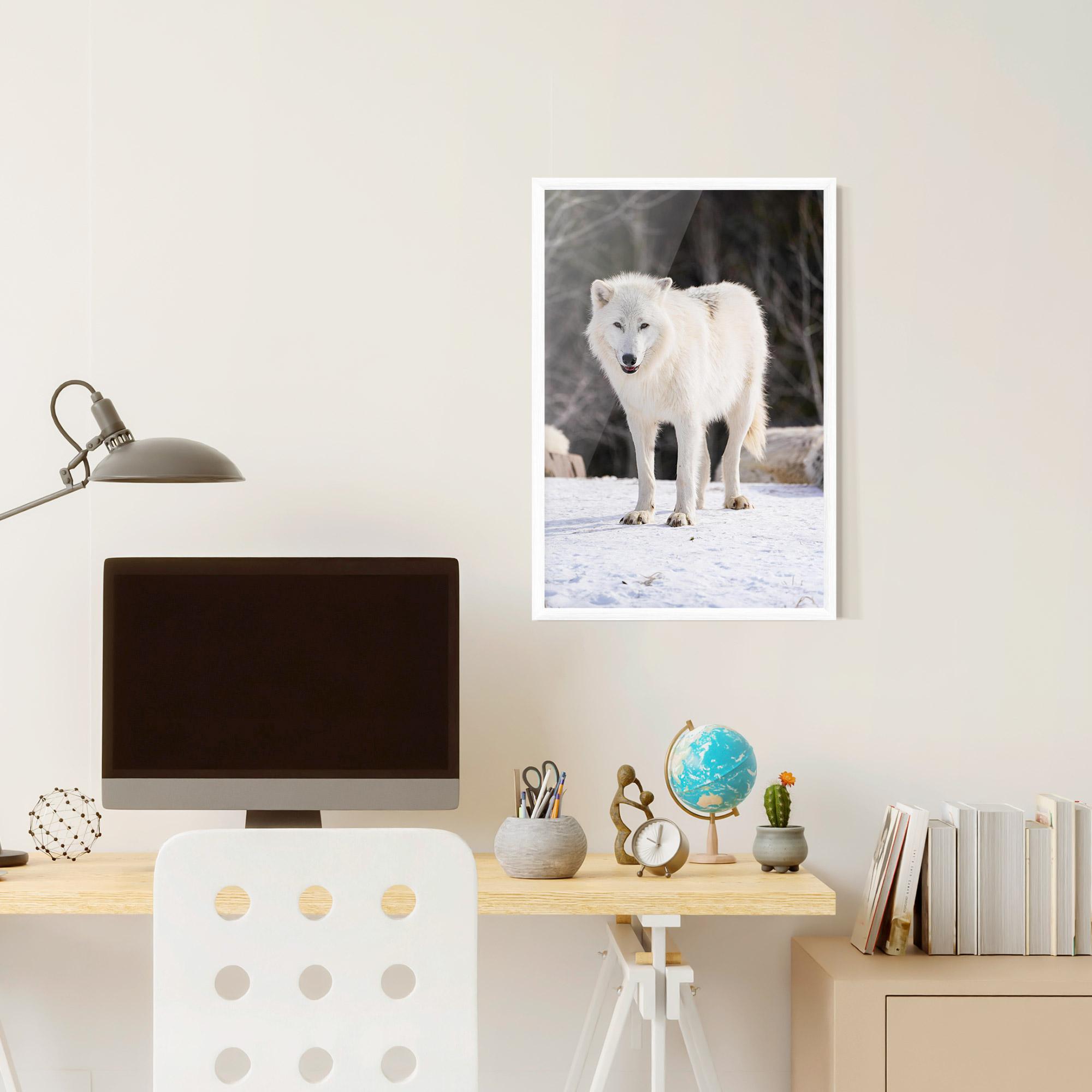 Gerahmte Poster Beautiful White Wolf mockup 6