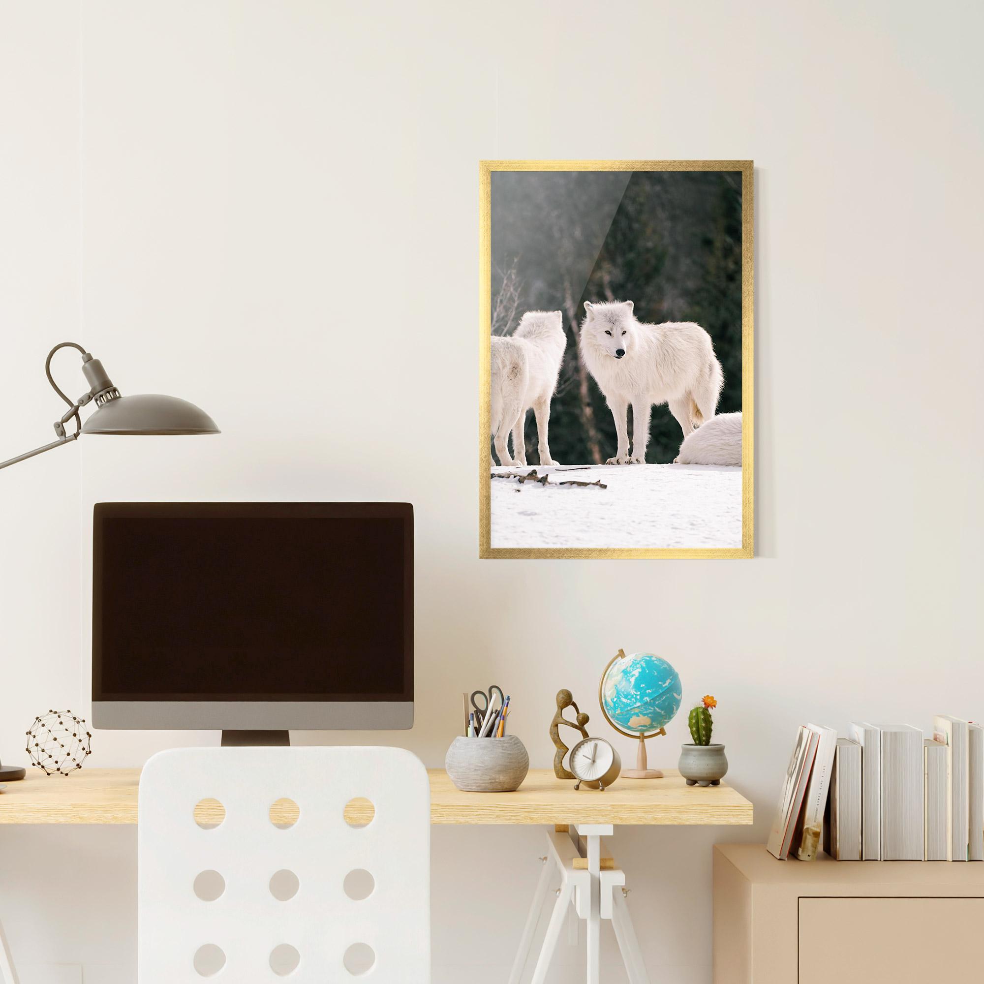 Gerahmte Poster White Wolf Waiting mockup 6