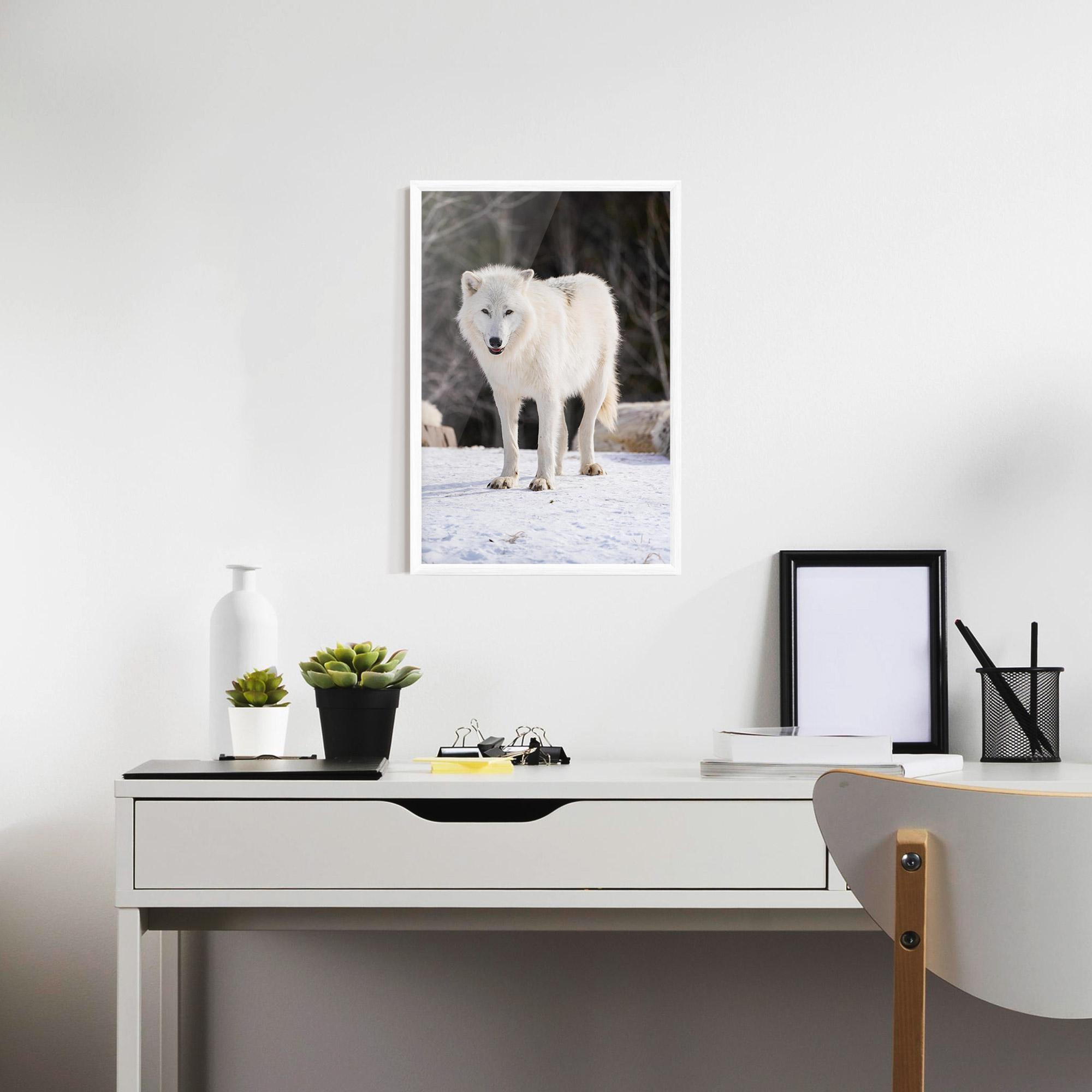 Gerahmte Poster Beautiful White Wolf mockup 7