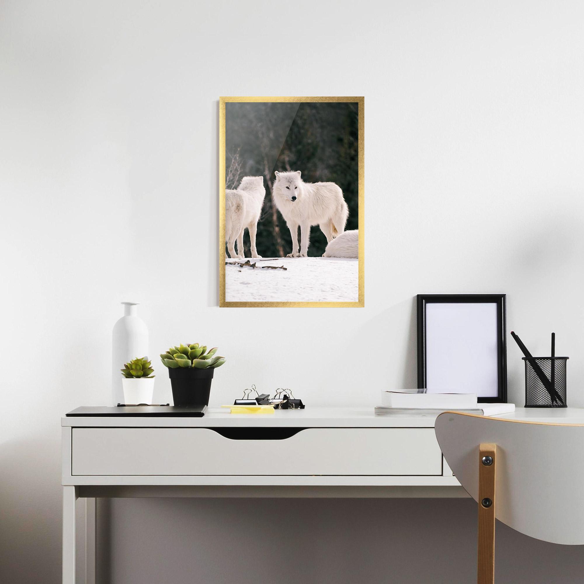 Gerahmte Poster White Wolf Waiting mockup 7