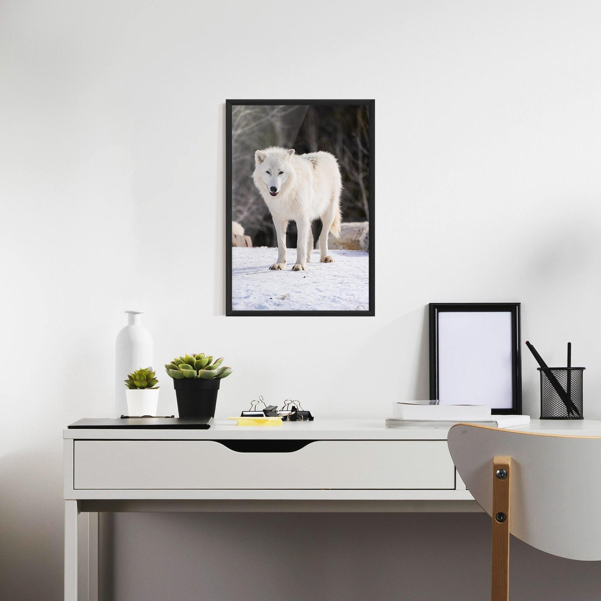 Gerahmte Poster Beautiful White Wolf mockup 7
