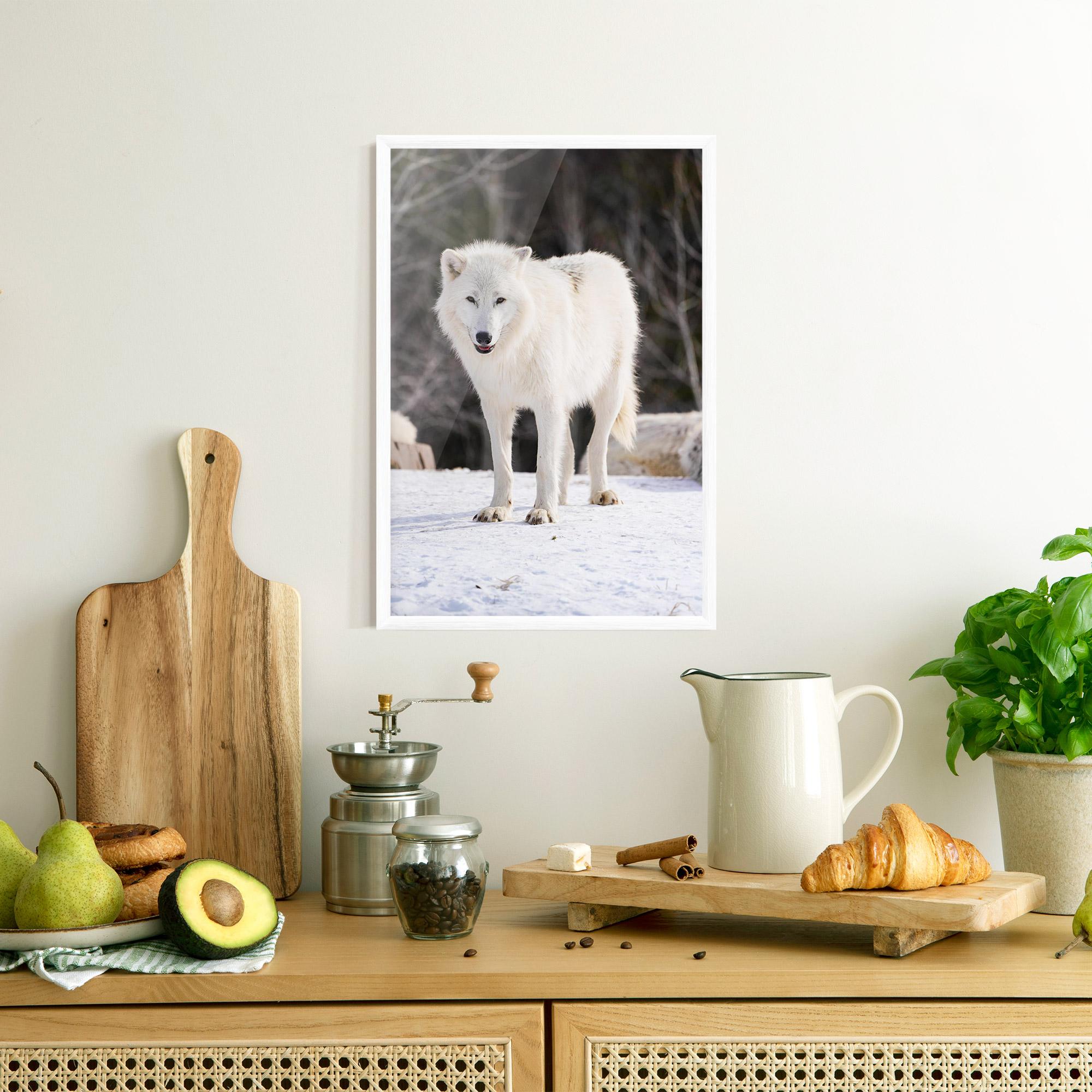 Gerahmte Poster Beautiful White Wolf mockup 8