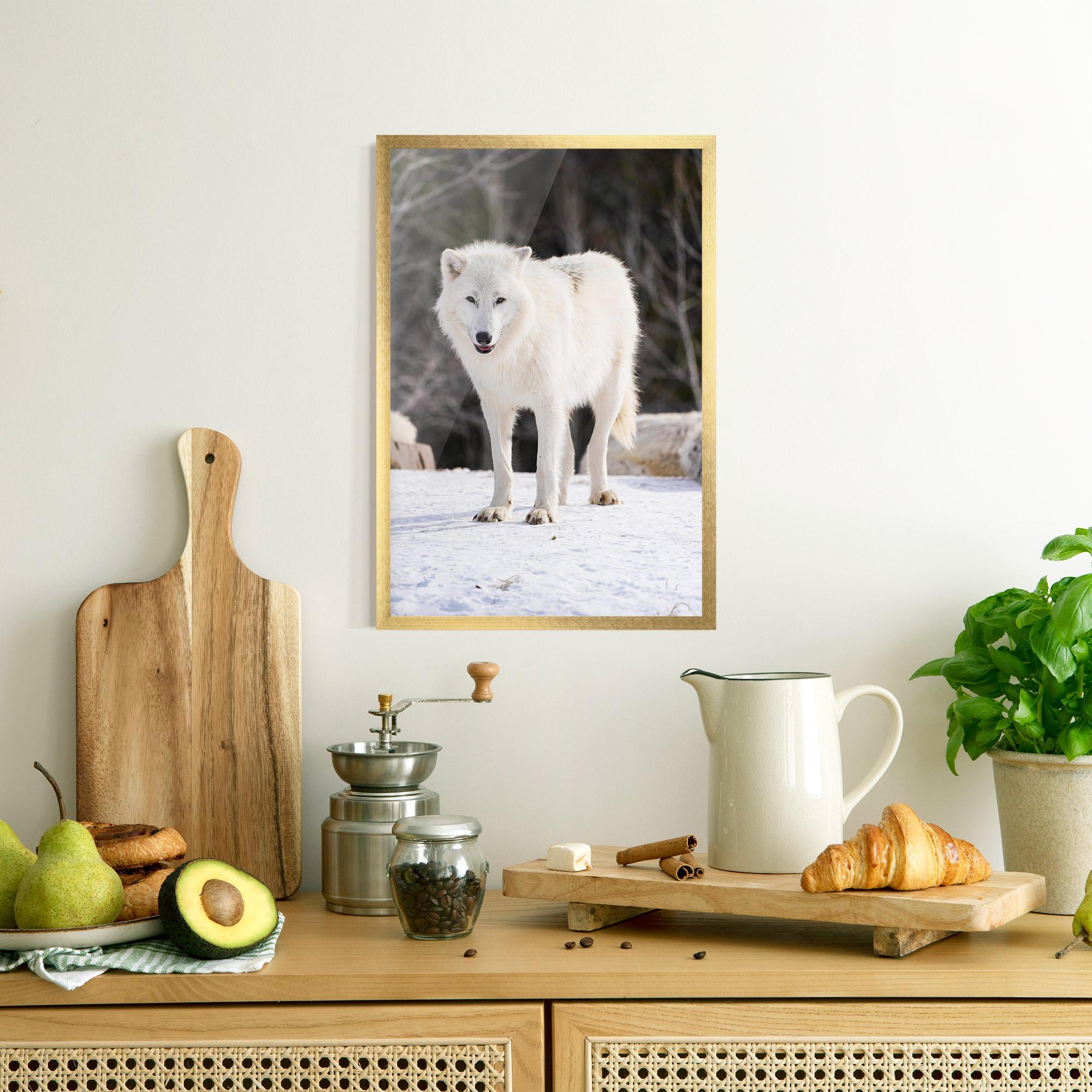 Gerahmte Poster Beautiful White Wolf mockup 8