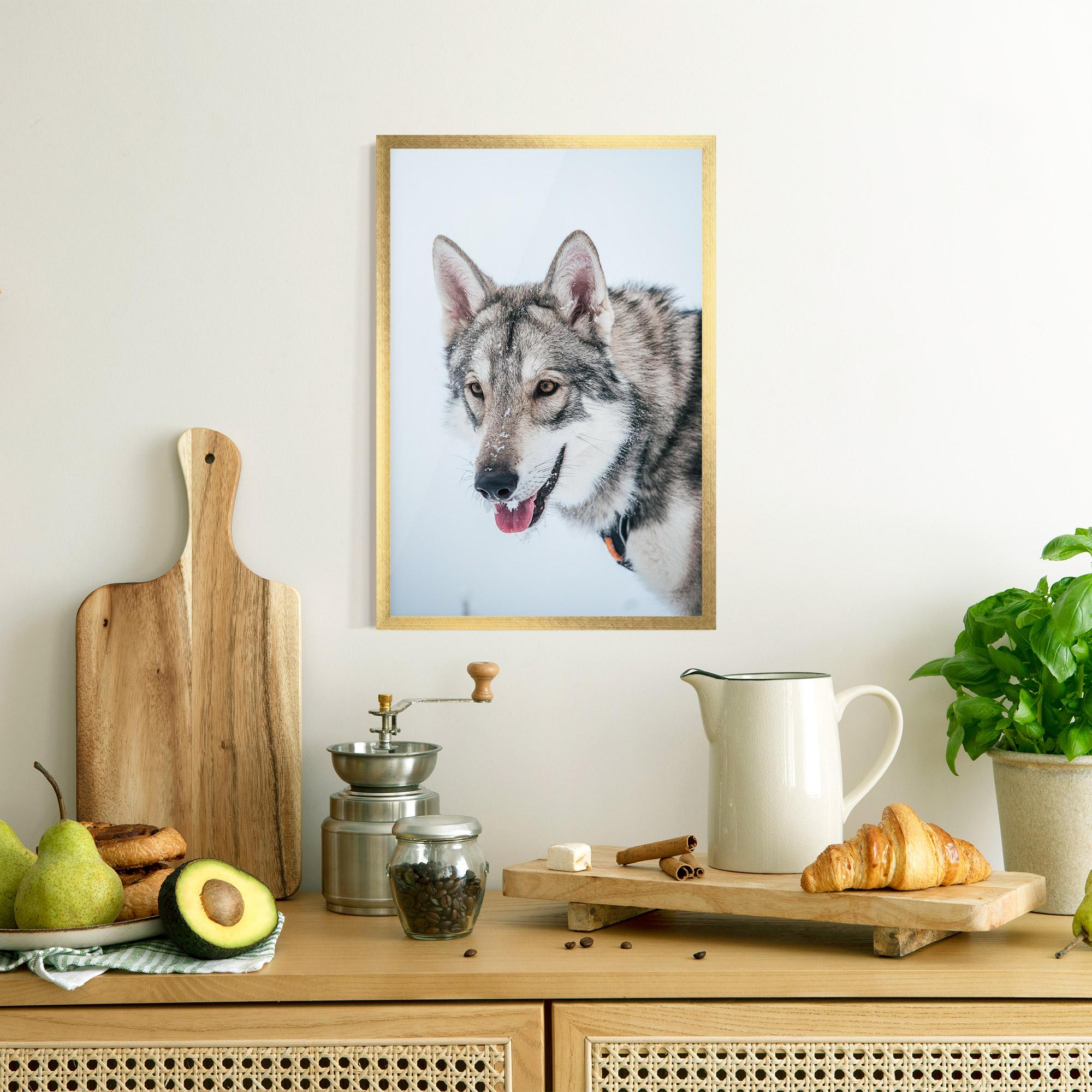Gerahmte Poster Wolf Head mockup 8