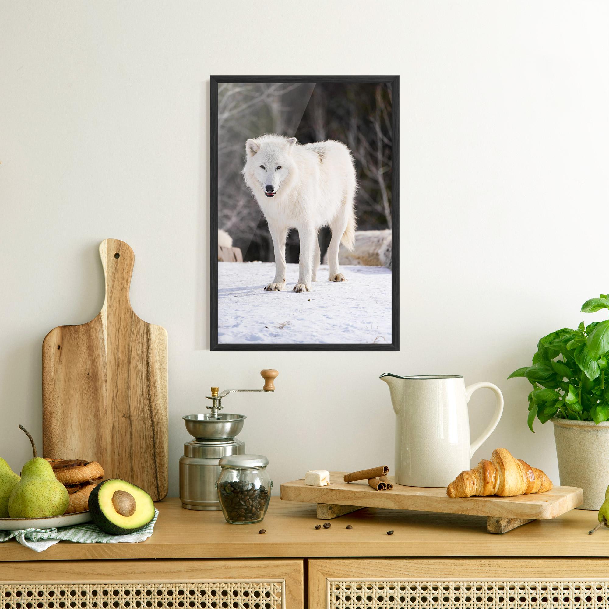 Gerahmte Poster Beautiful White Wolf mockup 8