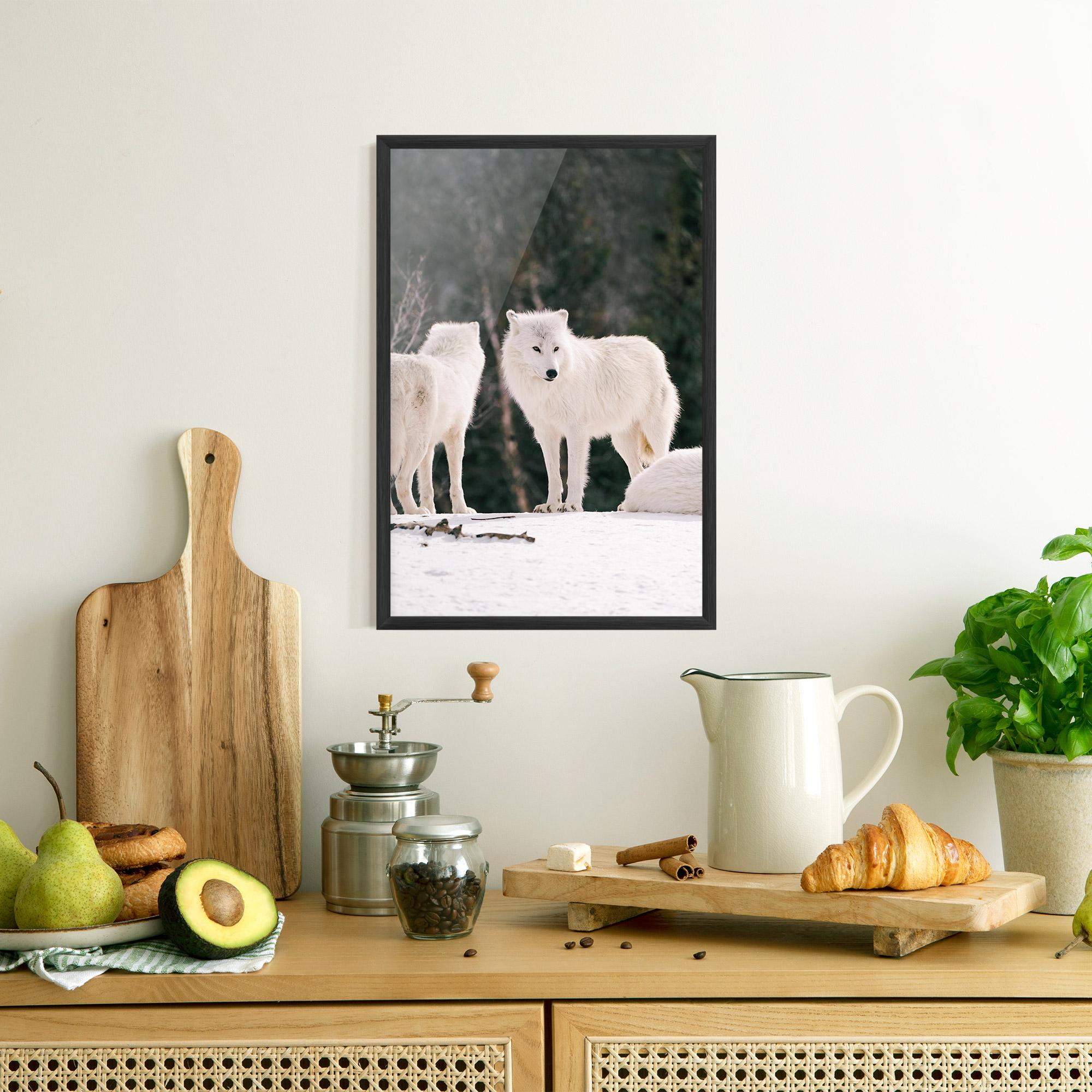 Gerahmte Poster White Wolf Waiting mockup 8
