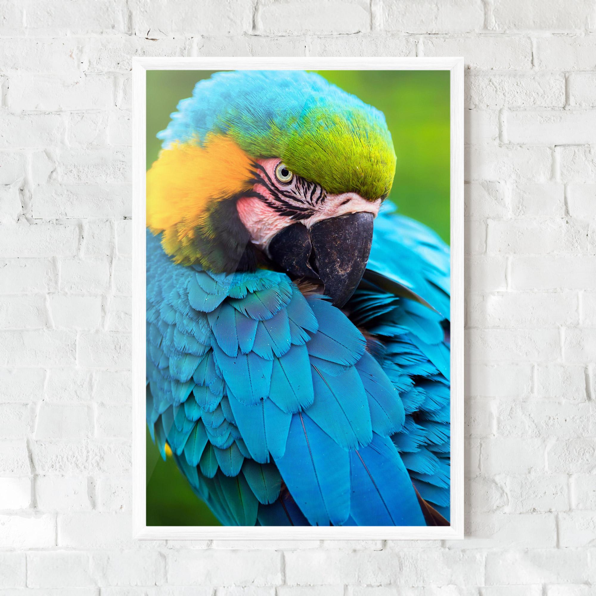 Gerahmte Poster Blue Parrot mockup 0