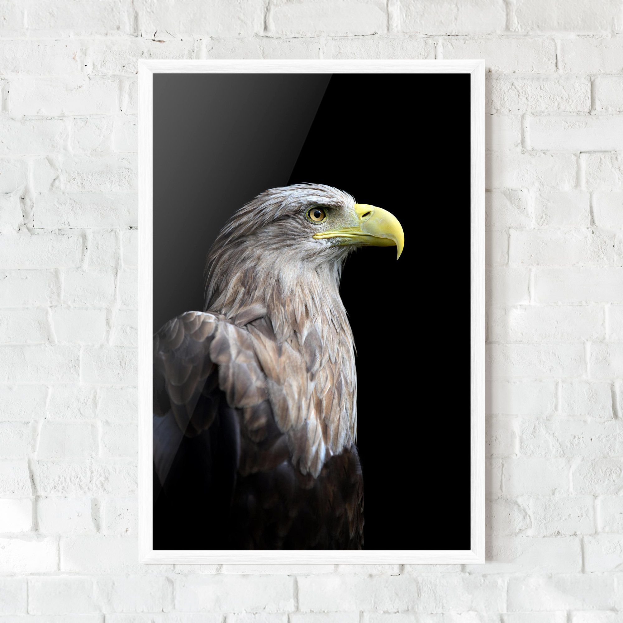 Close Up Eagle mockup 0