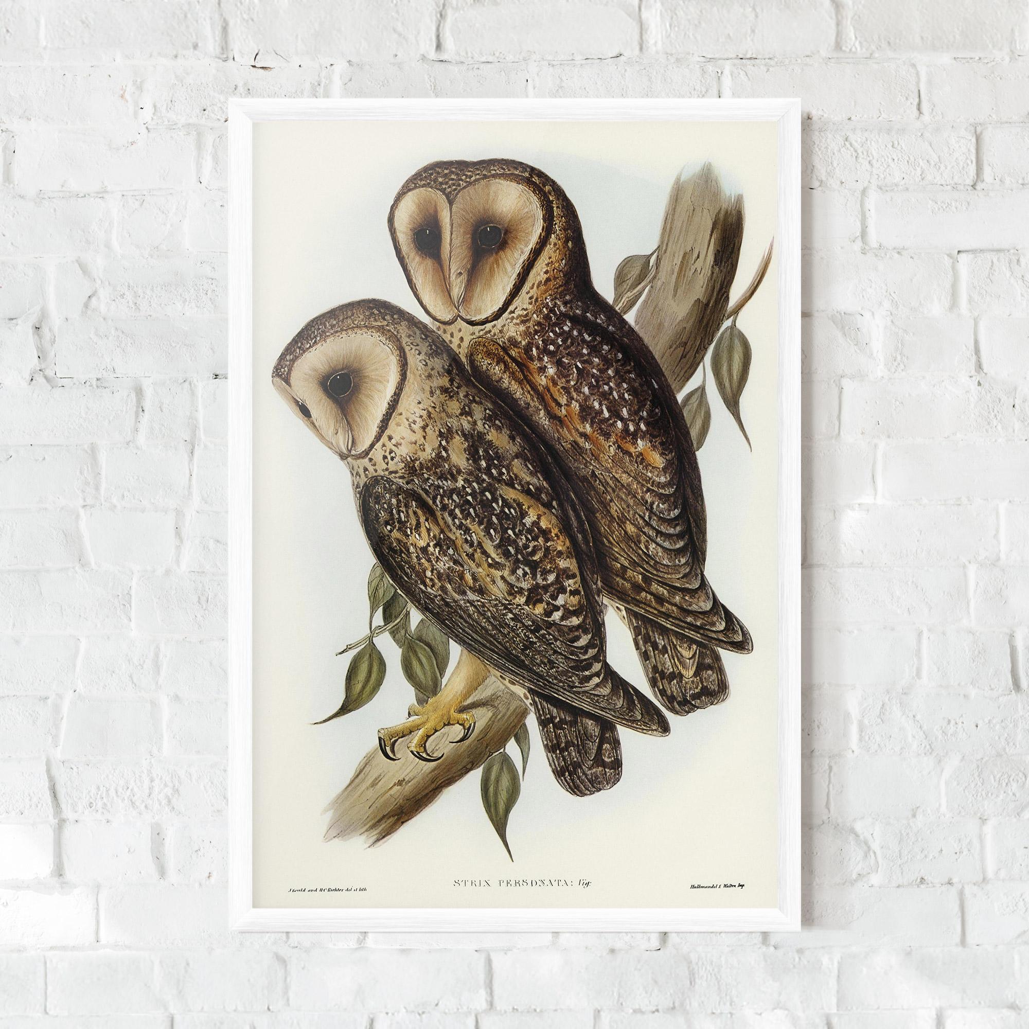 Gerahmte Poster Owl Family mockup 0