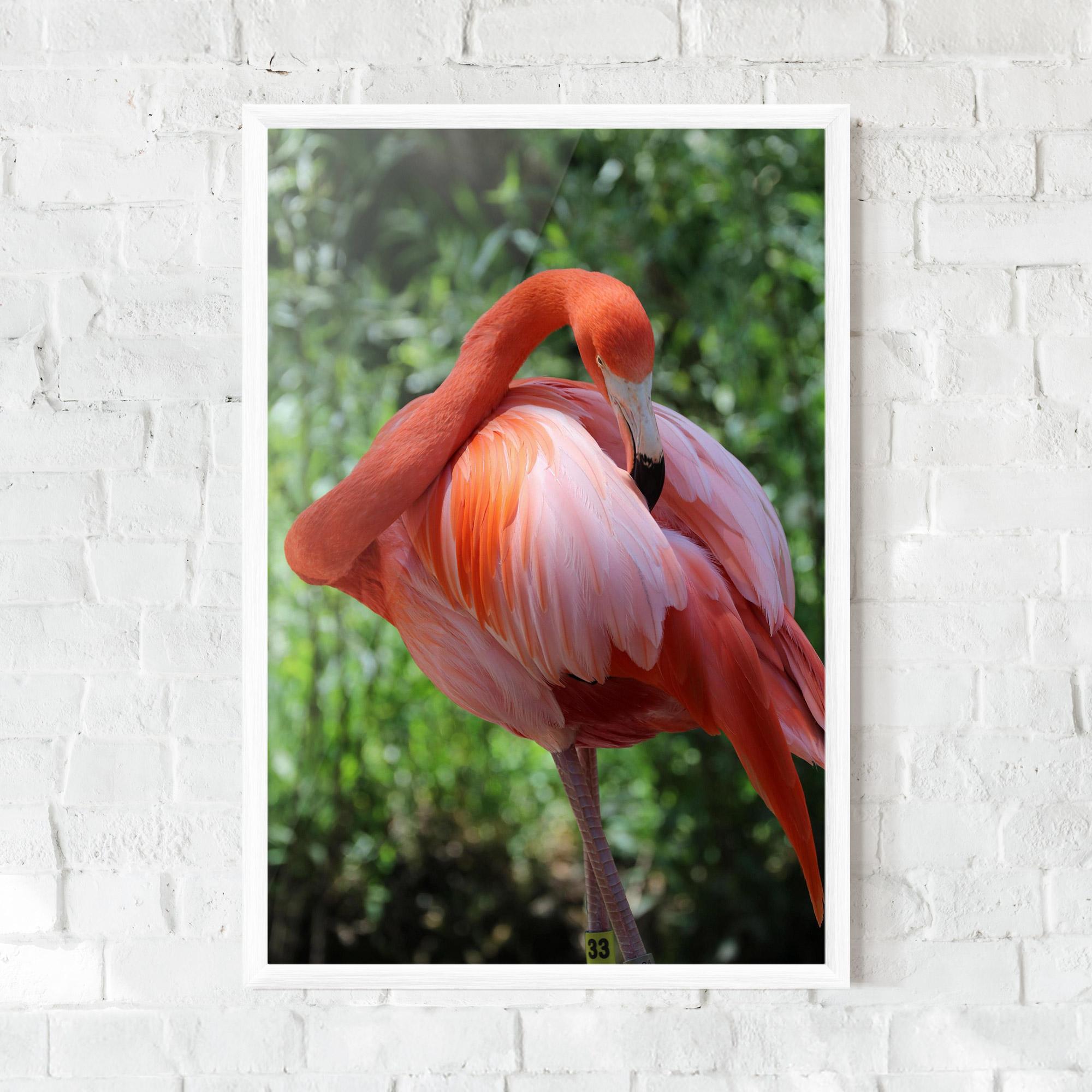 Gerahmte Poster Red Flamingo mockup 0