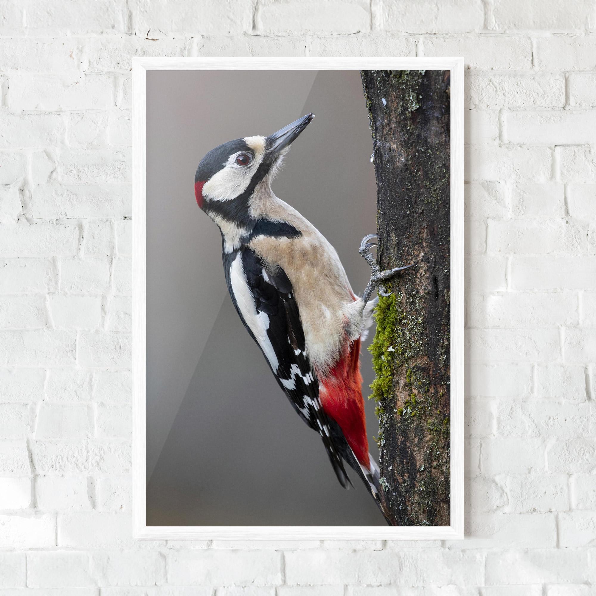 Gerahmte Poster Woodpecker mockup 0
